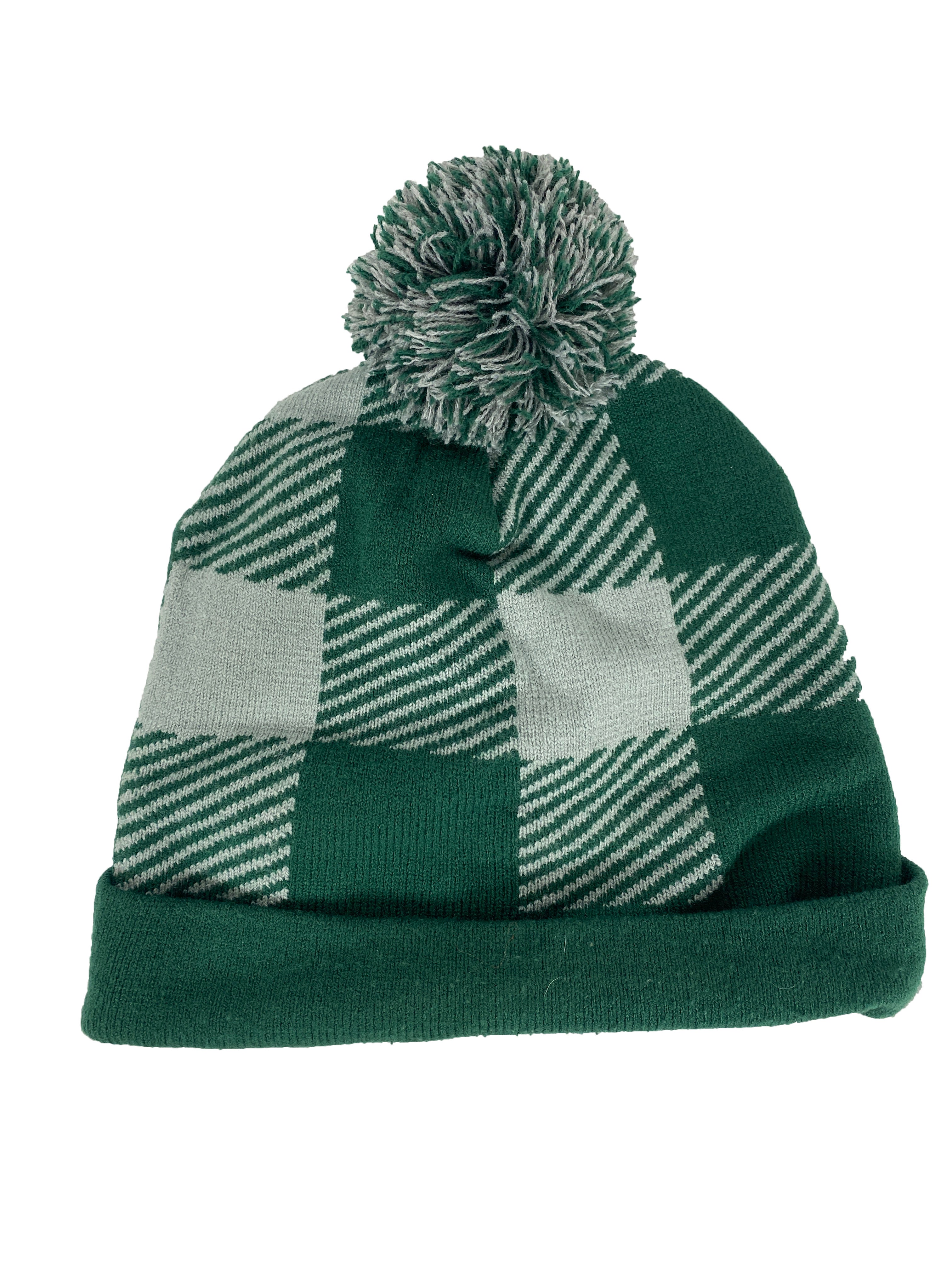 Green Michigan State Education Hat