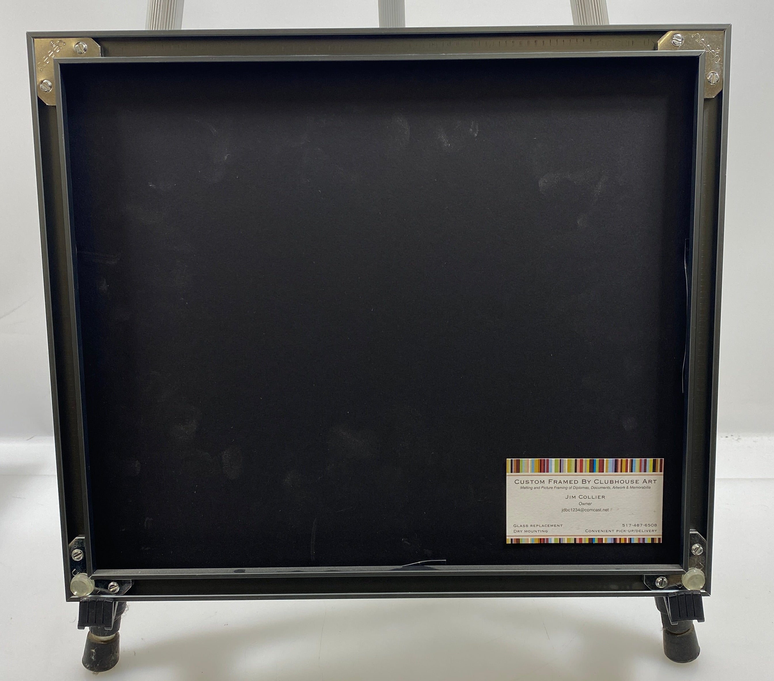 Michigan State University 2010 Varsity Football Team Big Ten Champions Framed Team Photo