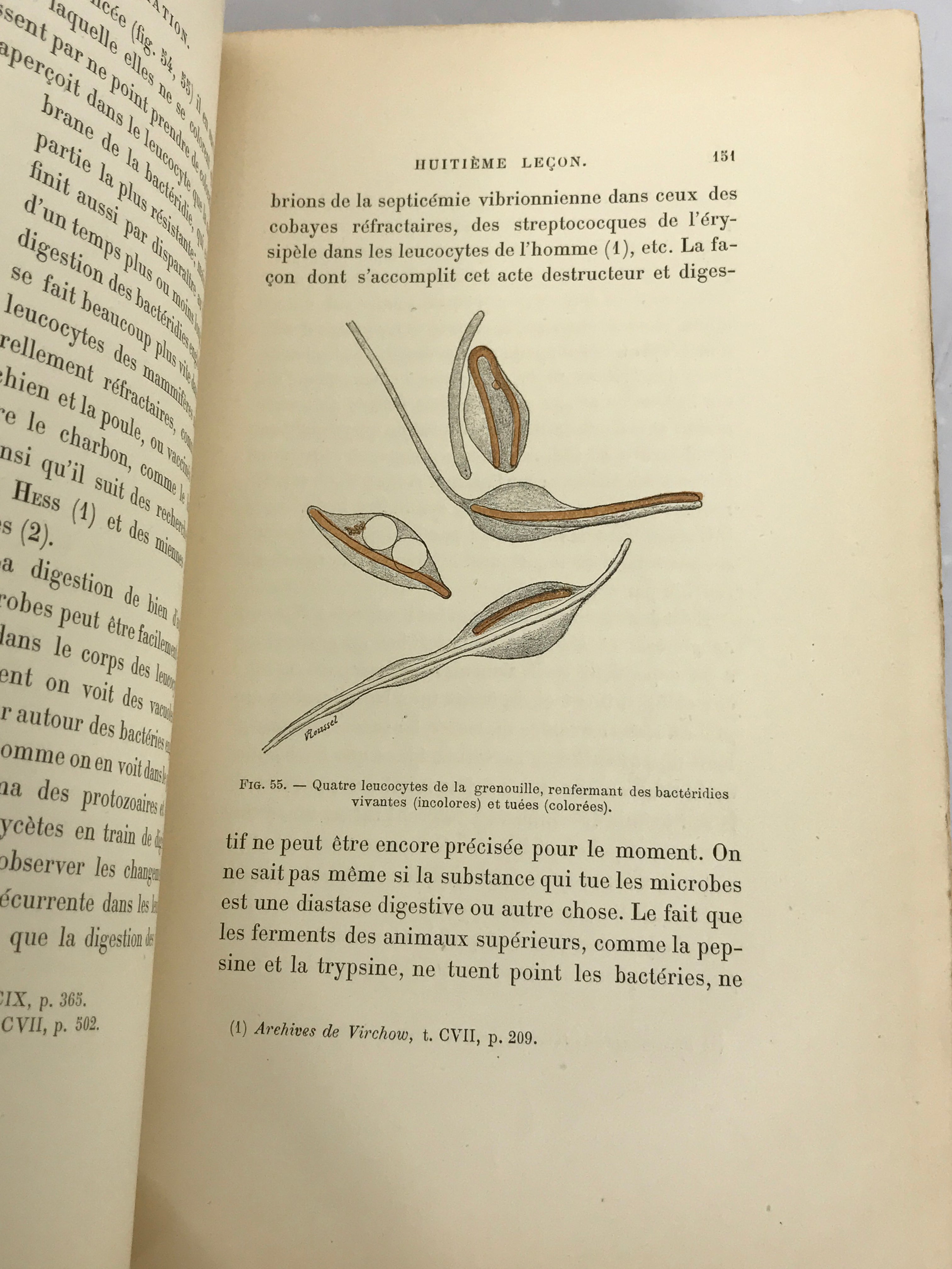 Lecons sur La Pathologie de L'Inflammation 1892 Text, Newer Paper Covers