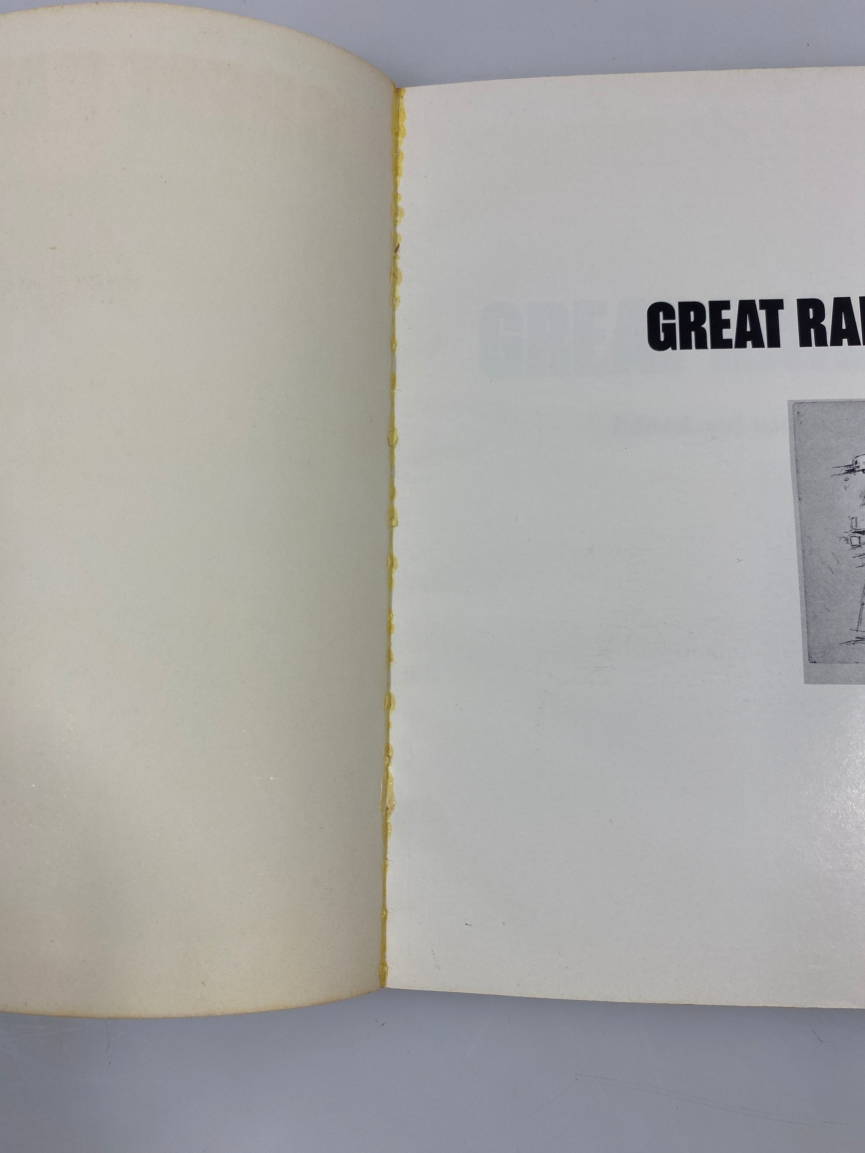 Great Railroad Paintings edited by Goldsborough 1976 SC