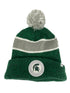 Green Michigan State Winter Hat