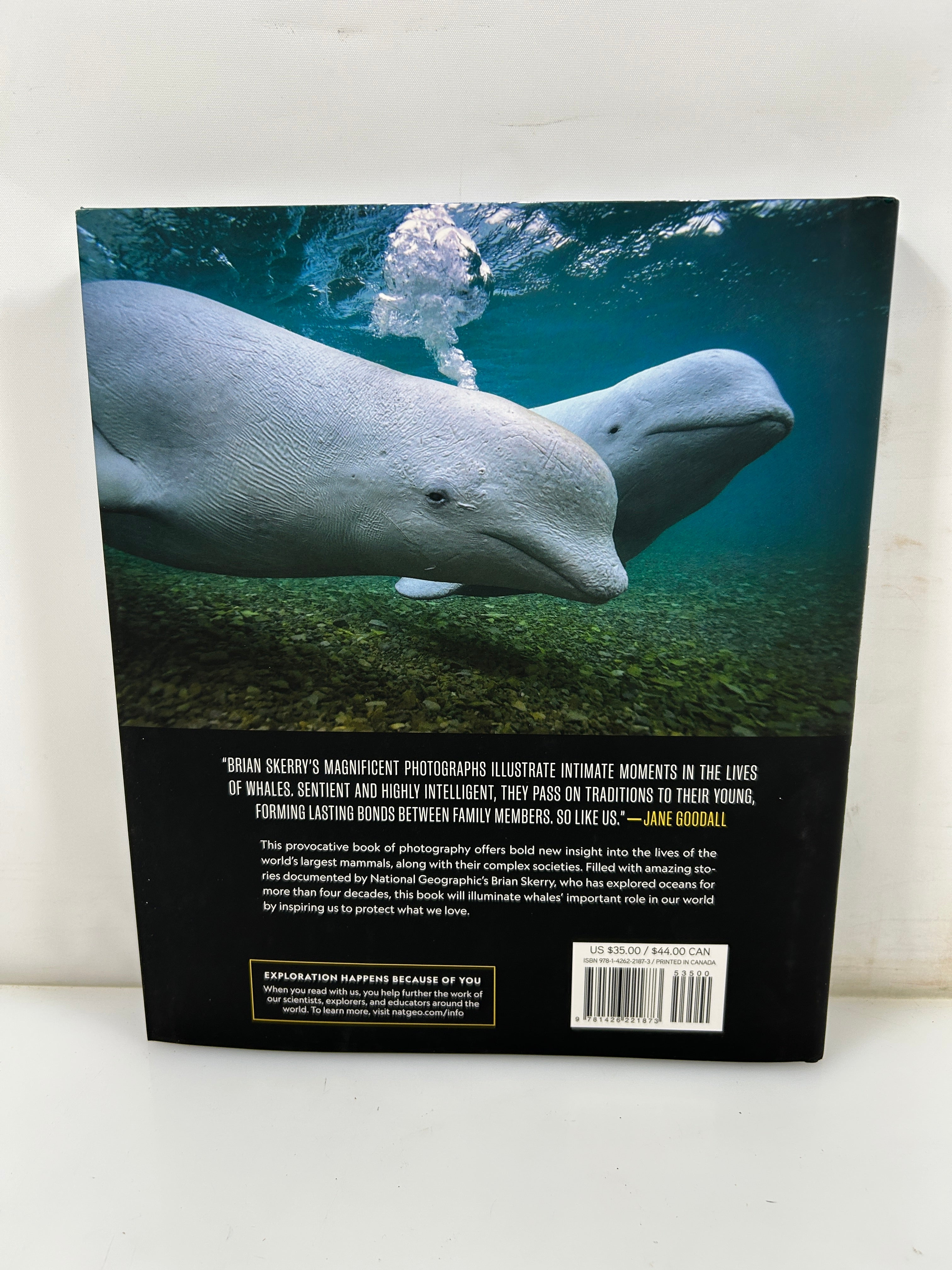 Secrets of the Whales by Brian Skerry