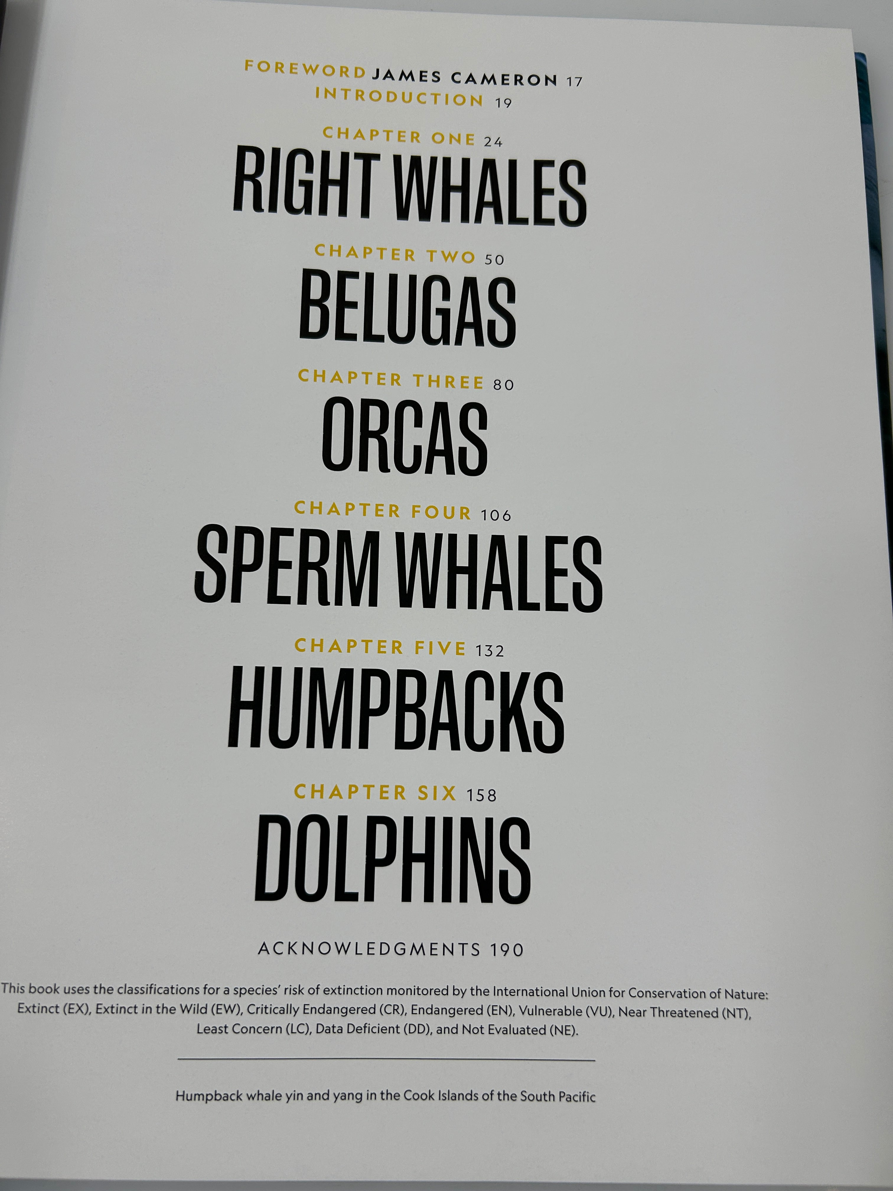 Secrets of the Whales by Brian Skerry