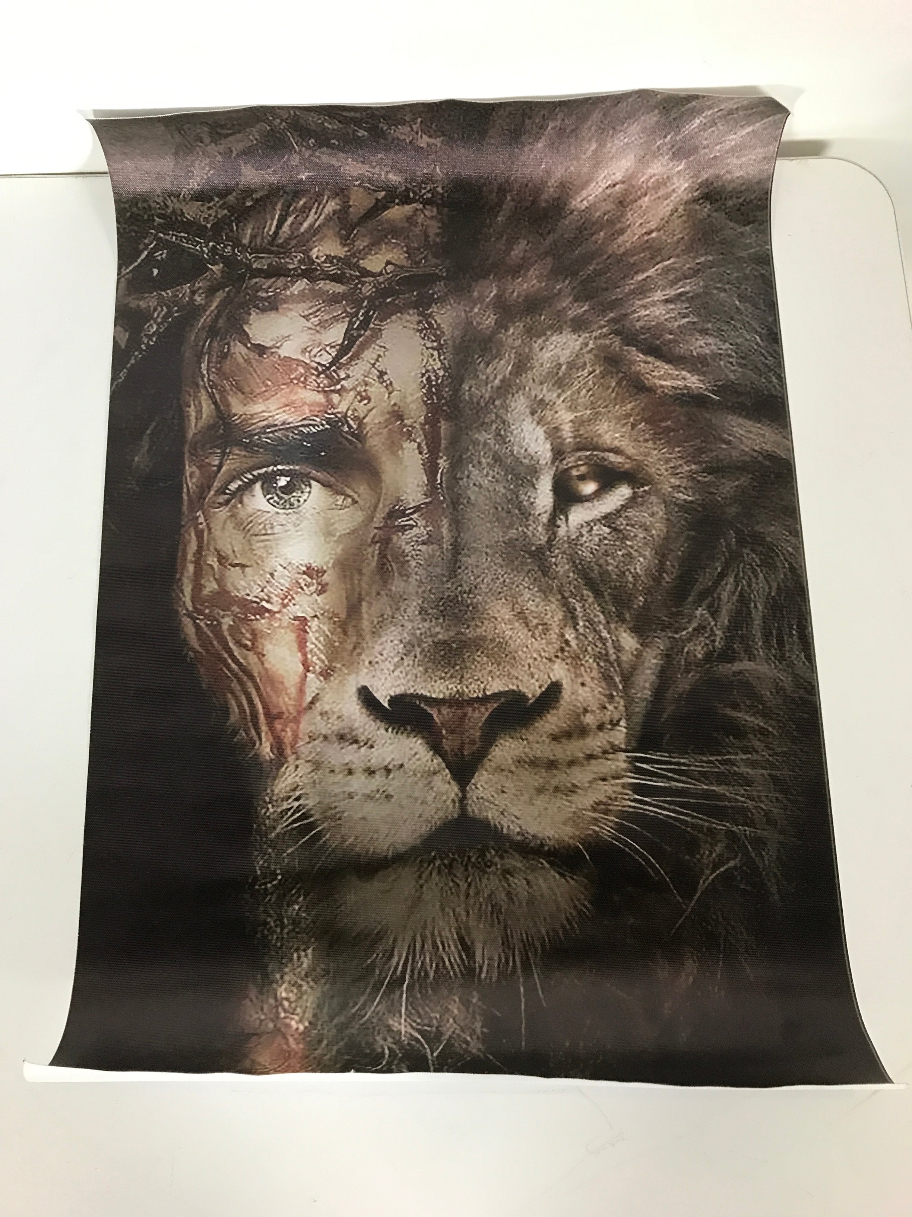 Jesus and Lion Canvas Poster