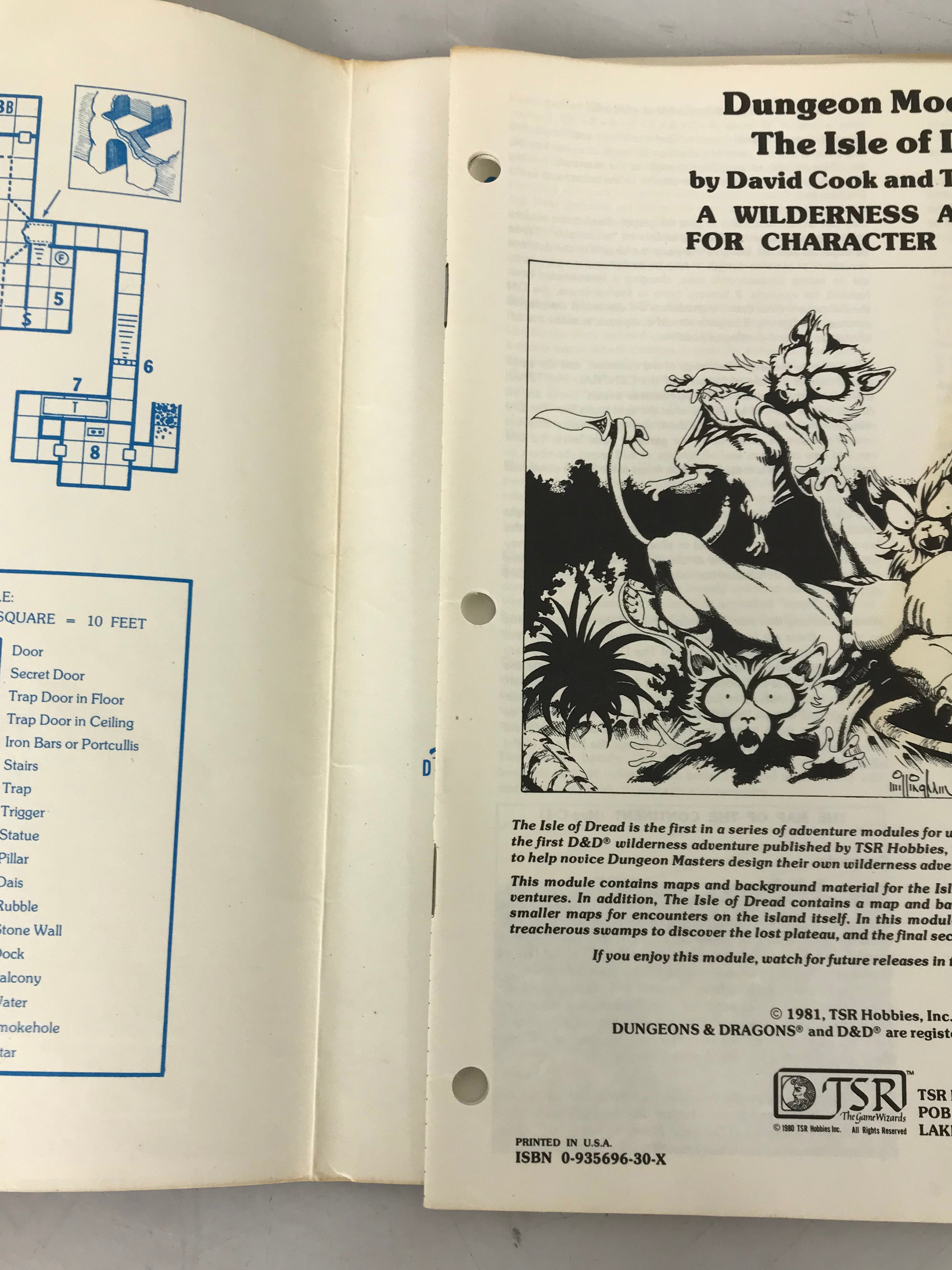 Dungeons & Dragons The Isle of Dread Module X1 1981