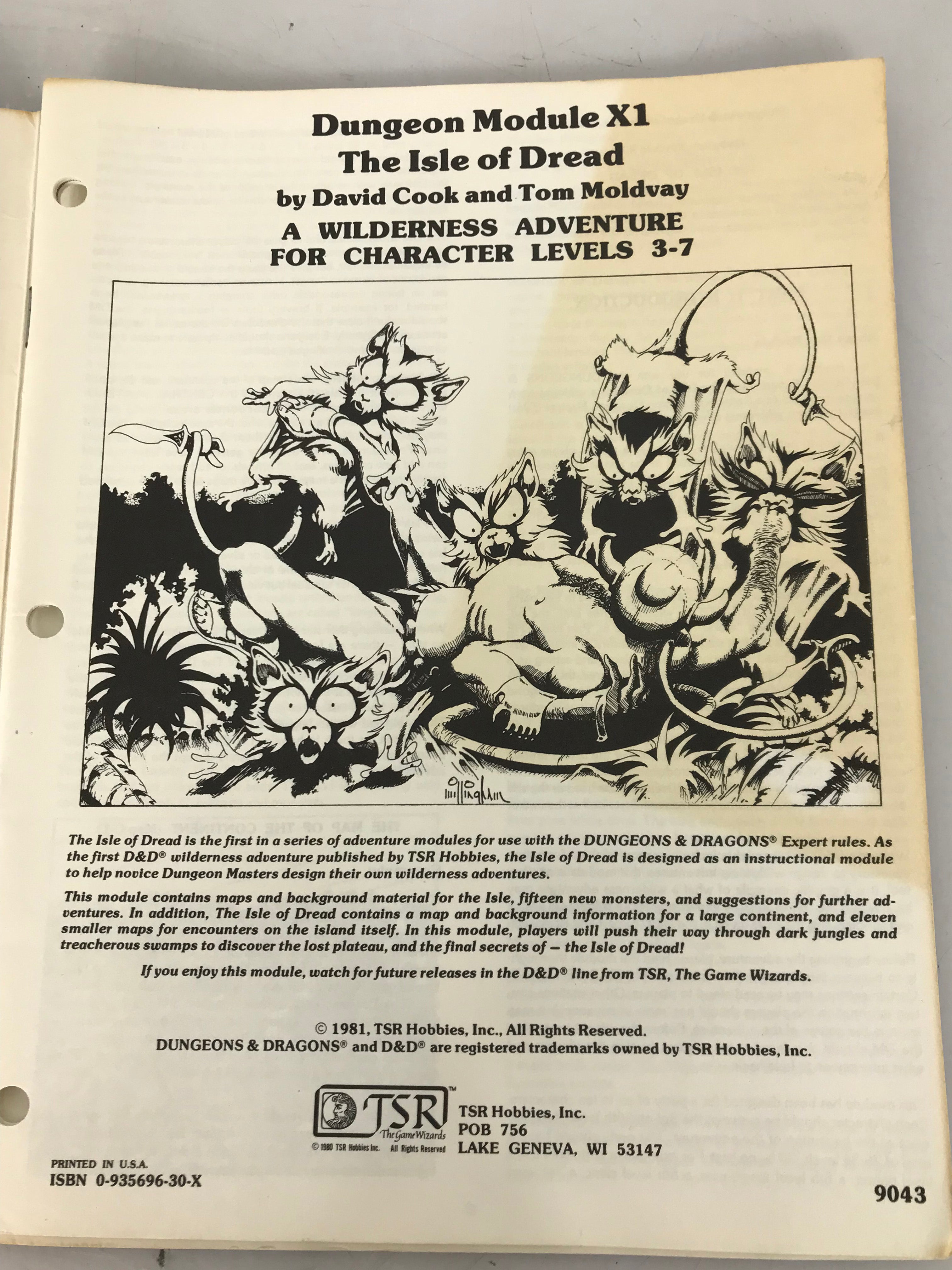 Dungeons & Dragons The Isle of Dread Module X1 1981