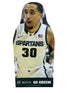 Brandon Wood Corrugated Plastic Player Cutout