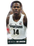 Eron Harris Corrugated Plastic Player Cutout