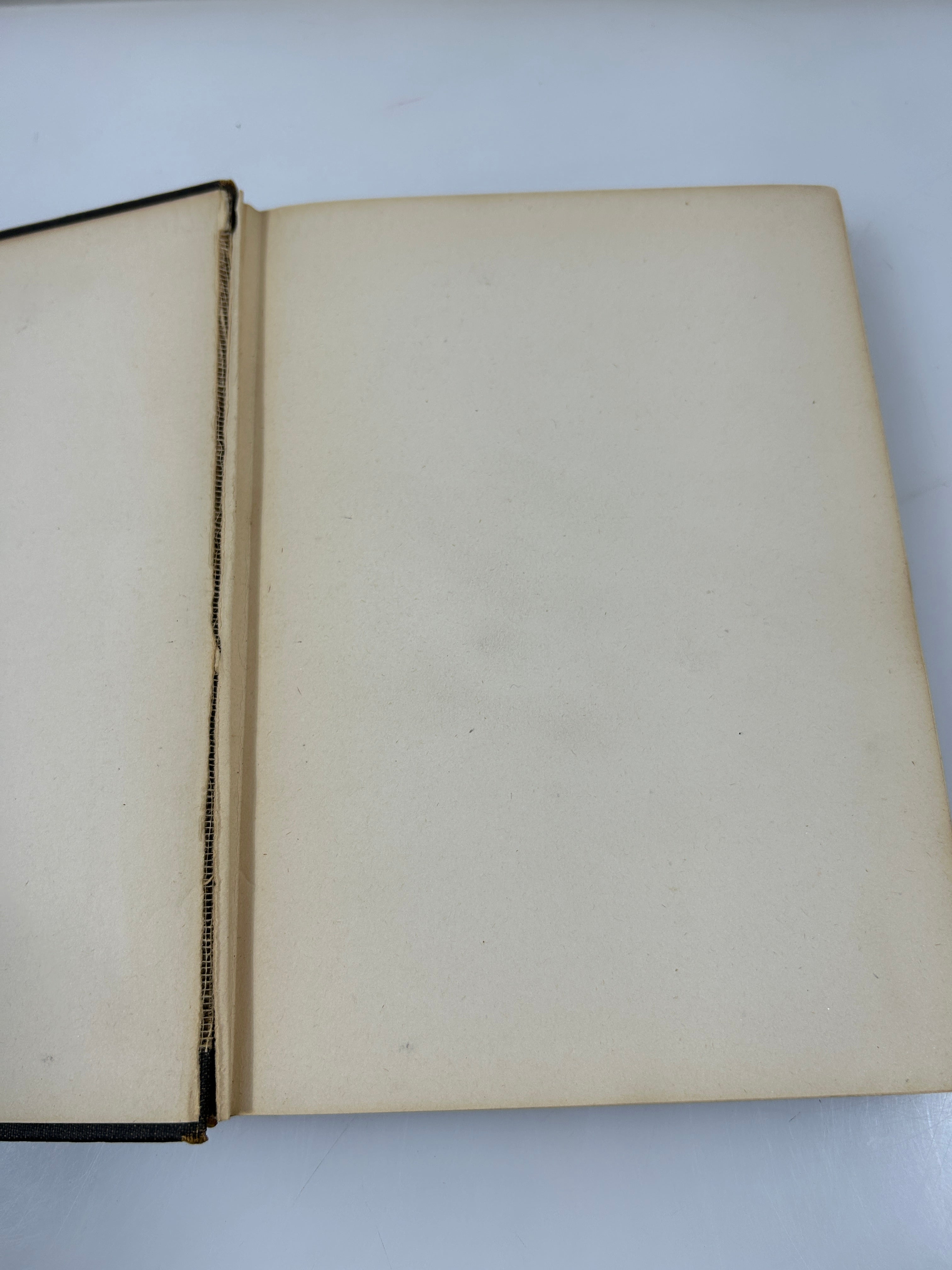 The Works of Edgar Allan Poe Vol III Raven Edition 1903