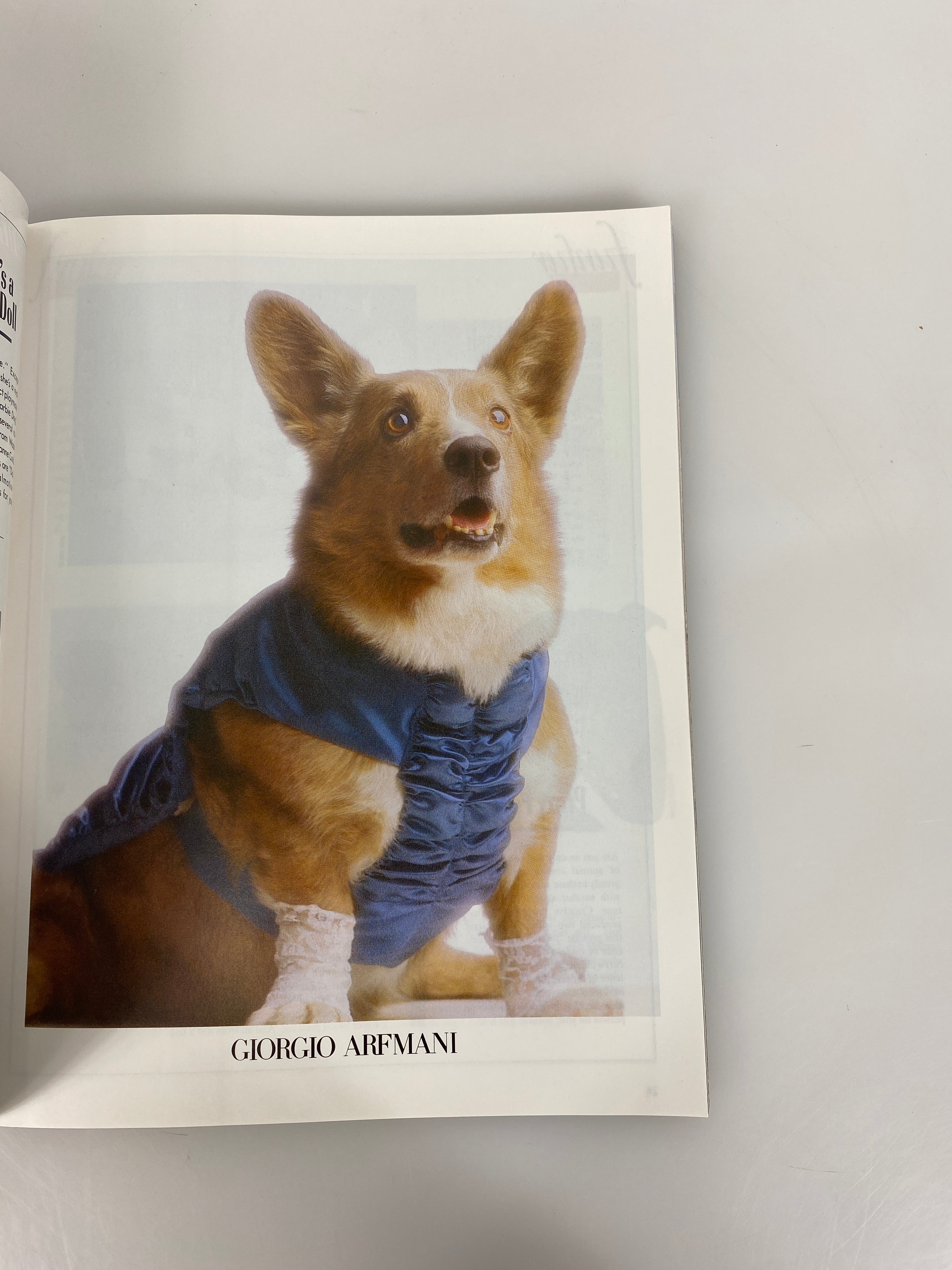 Vanity Fur Pet Humor Magazine 1988