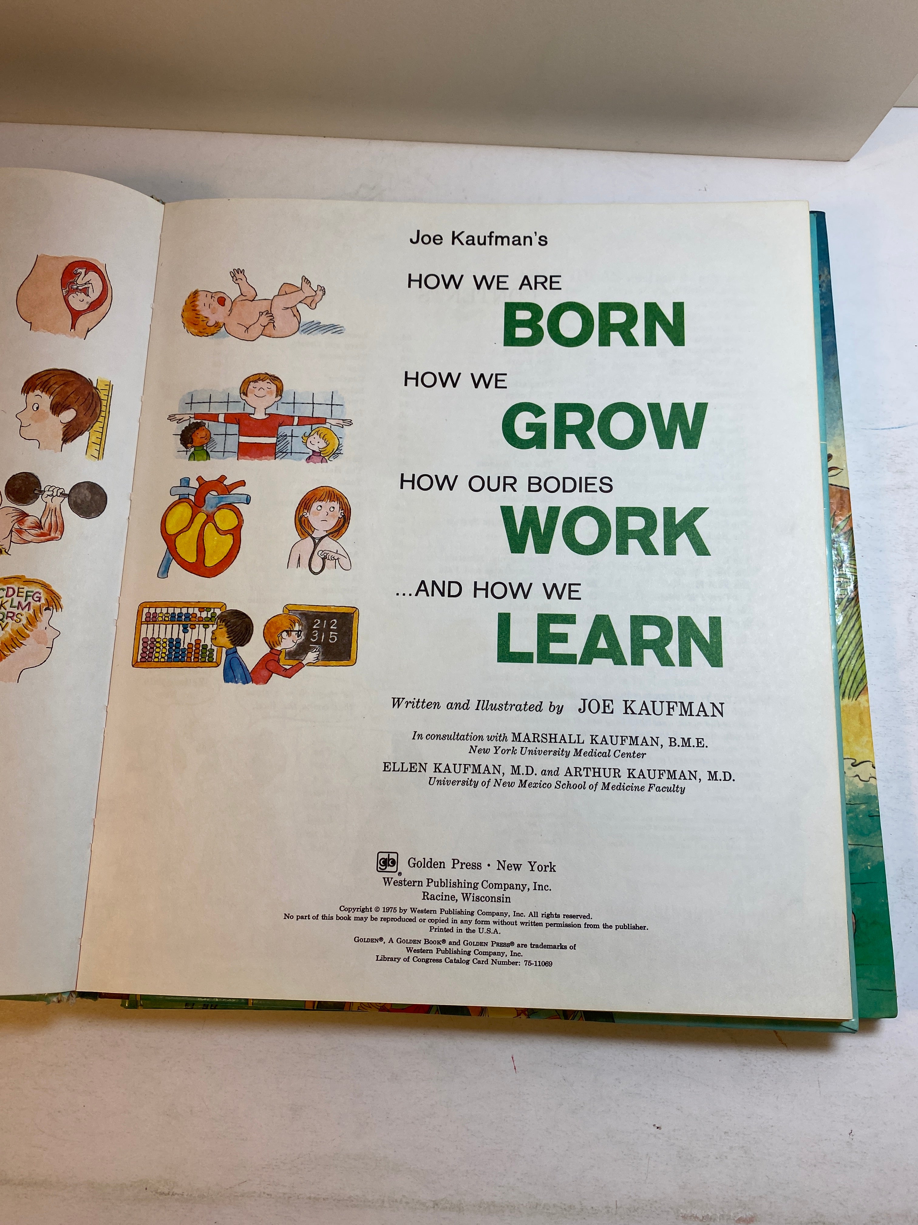 Lot of 2 Joe Kaufman Large Golden Books 1975-1978