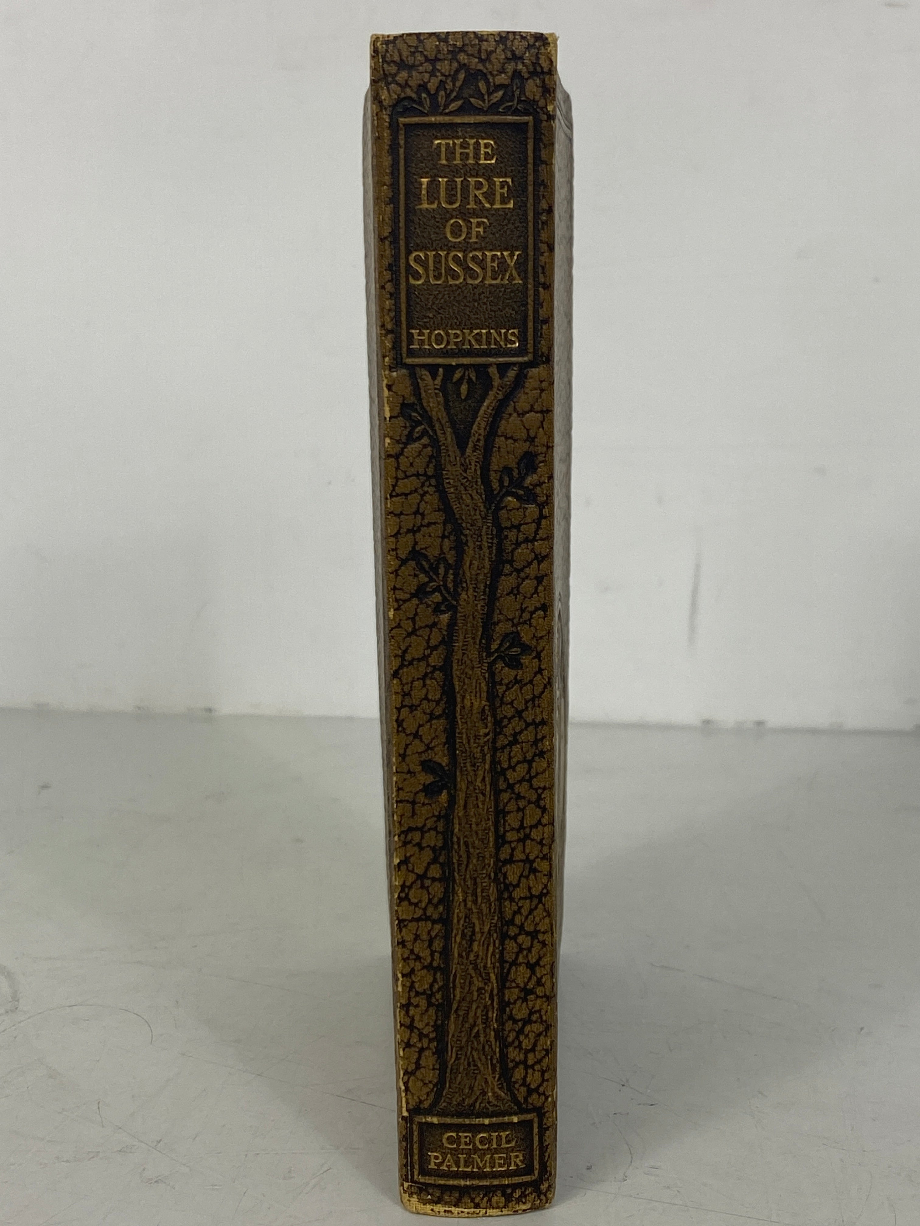 The Lure of Sussex by R. Thurston Hopkins 1928 First Edition HC