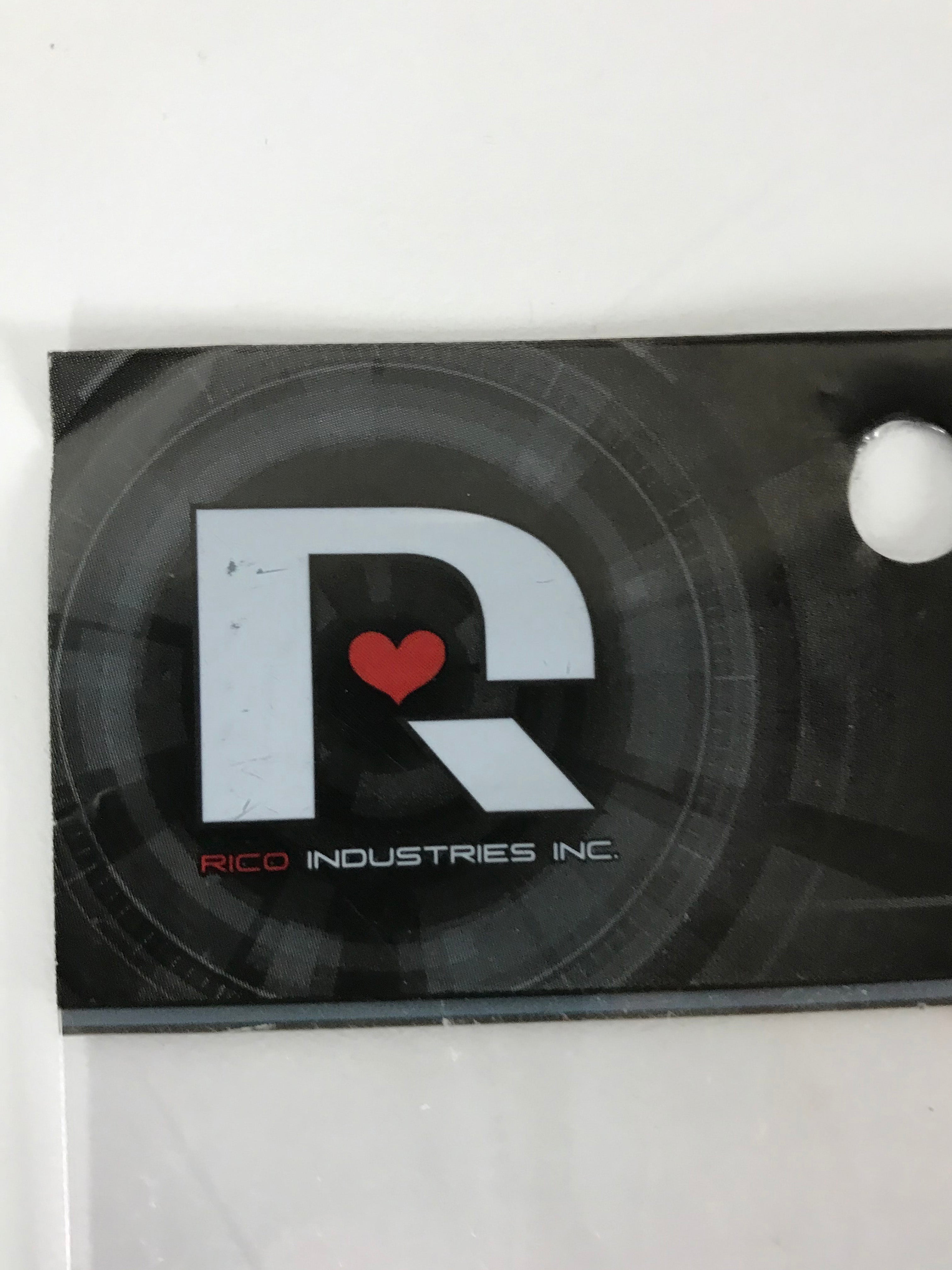 Rico Industries Michigan State Magnet Set