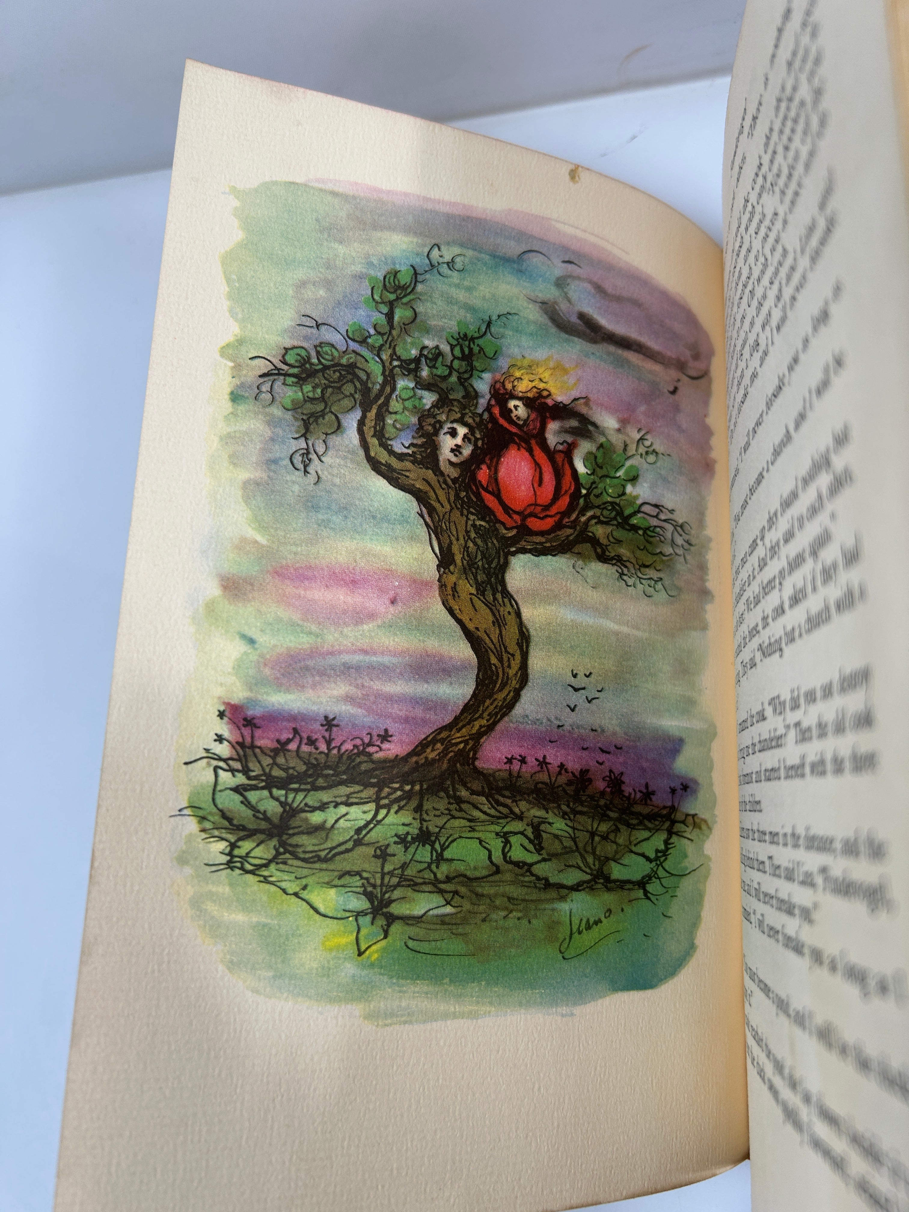 Fairy Tales by the Bros Grimm World Publishing Press/Rainbow Classics 1947 HC