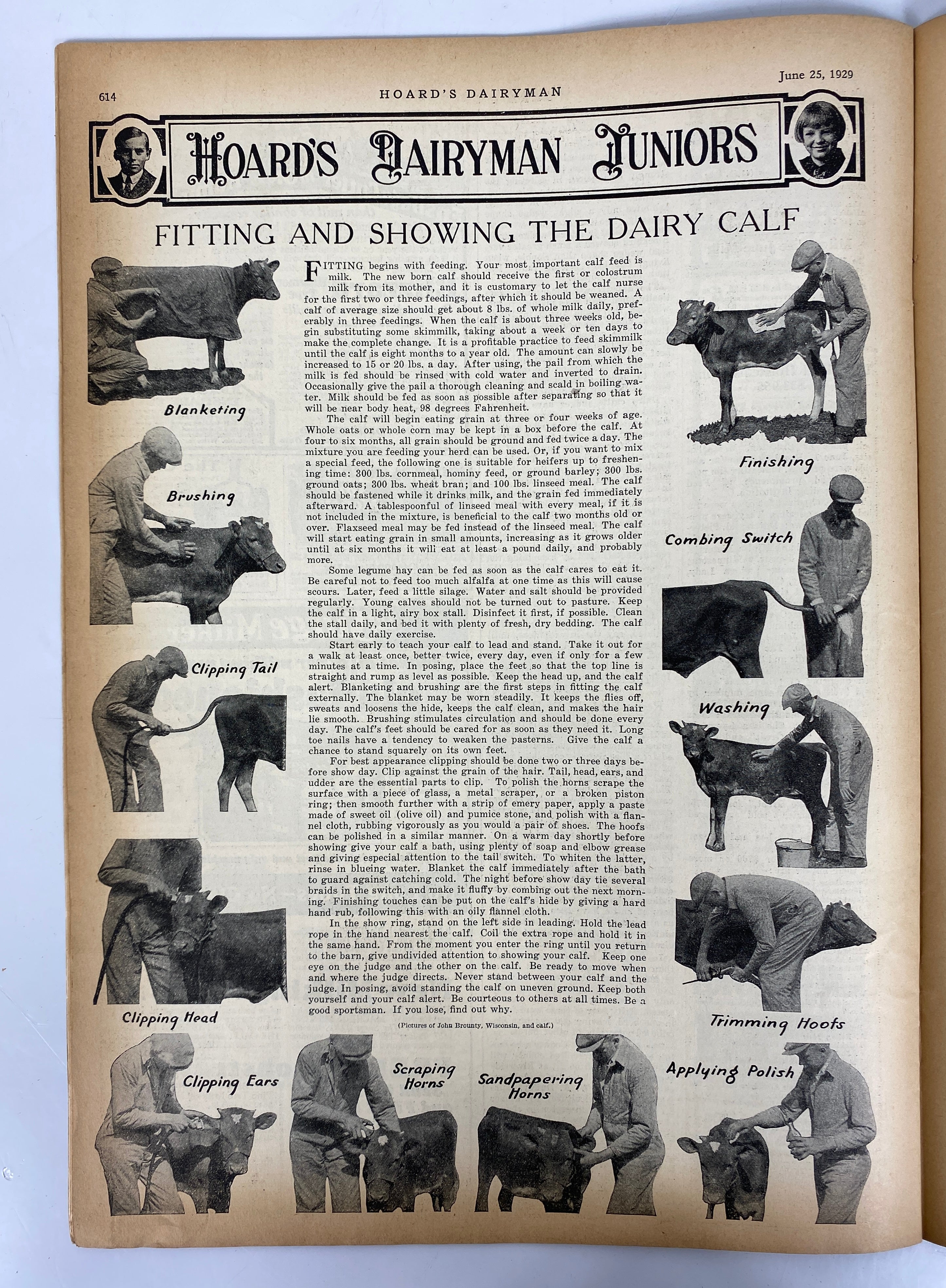 Lot 0f 14 Hoard's Dairyman Magazine 1925-1940