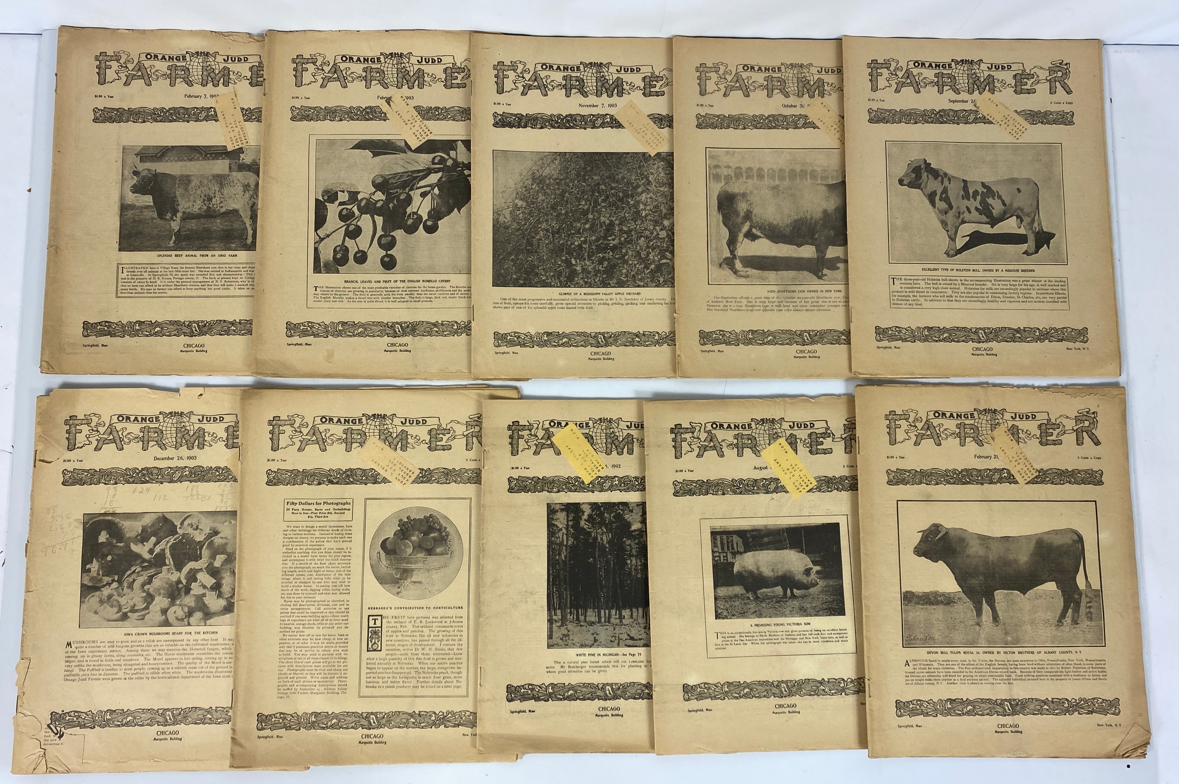 The Orange Judd Farmer Lot of 53 Issues 1894-1903