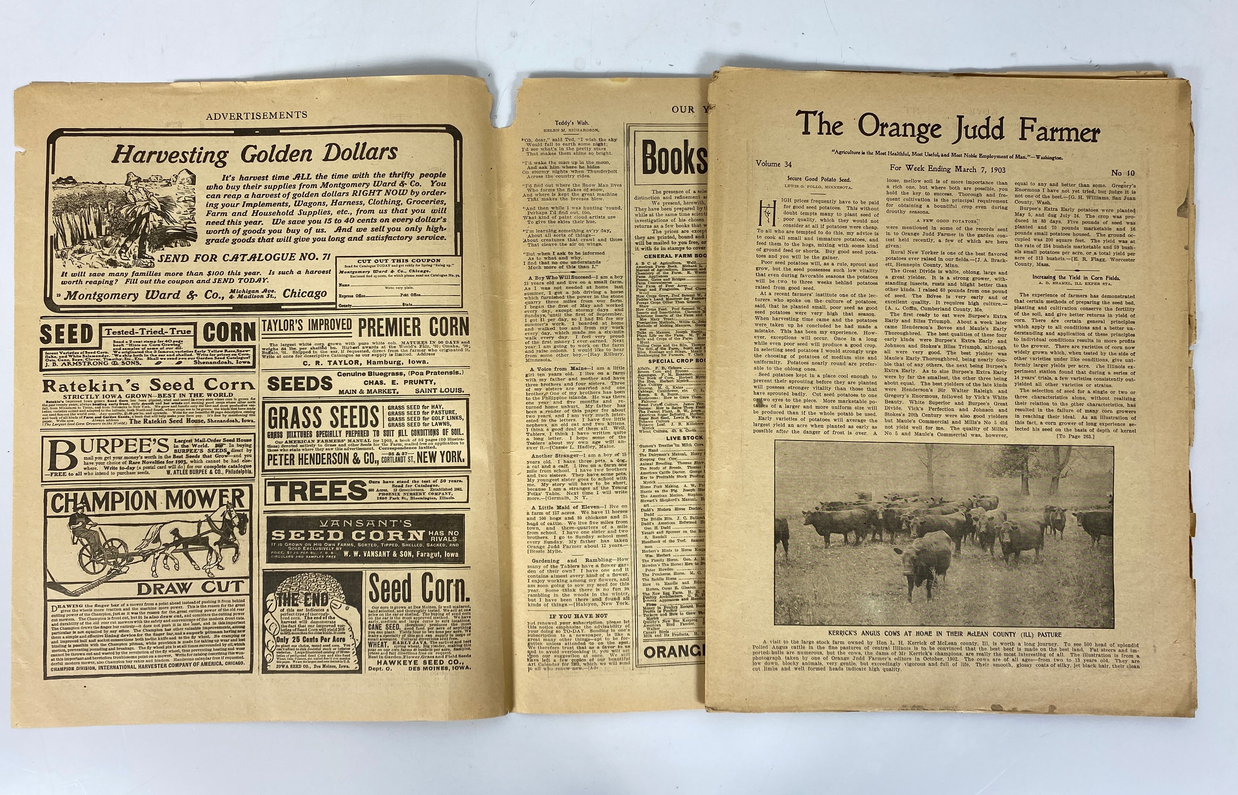 The Orange Judd Farmer Lot of 53 Issues 1894-1903