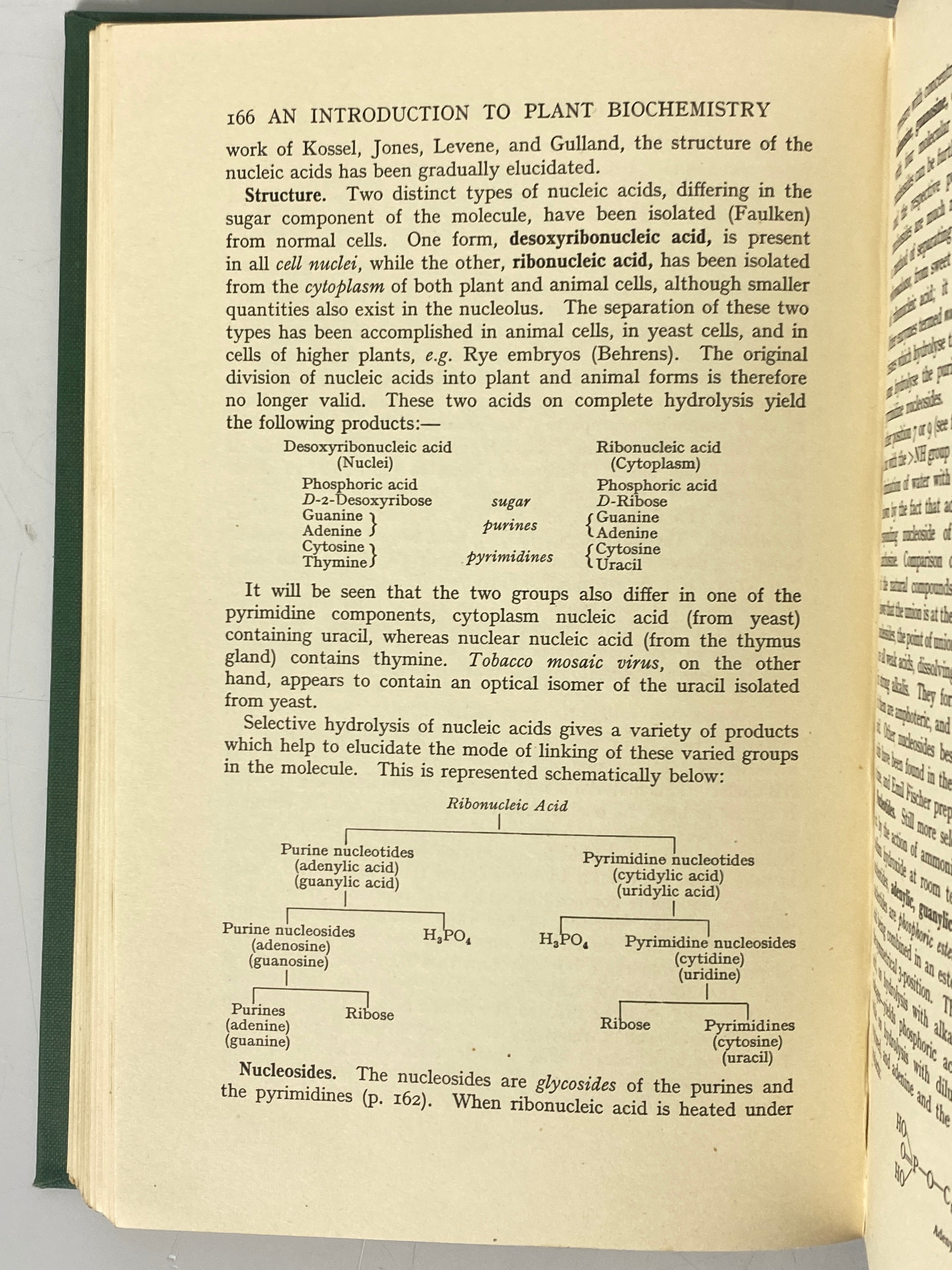 2 Vols: A Textbook of General Botany/An Introduction to Plant Biochemistry