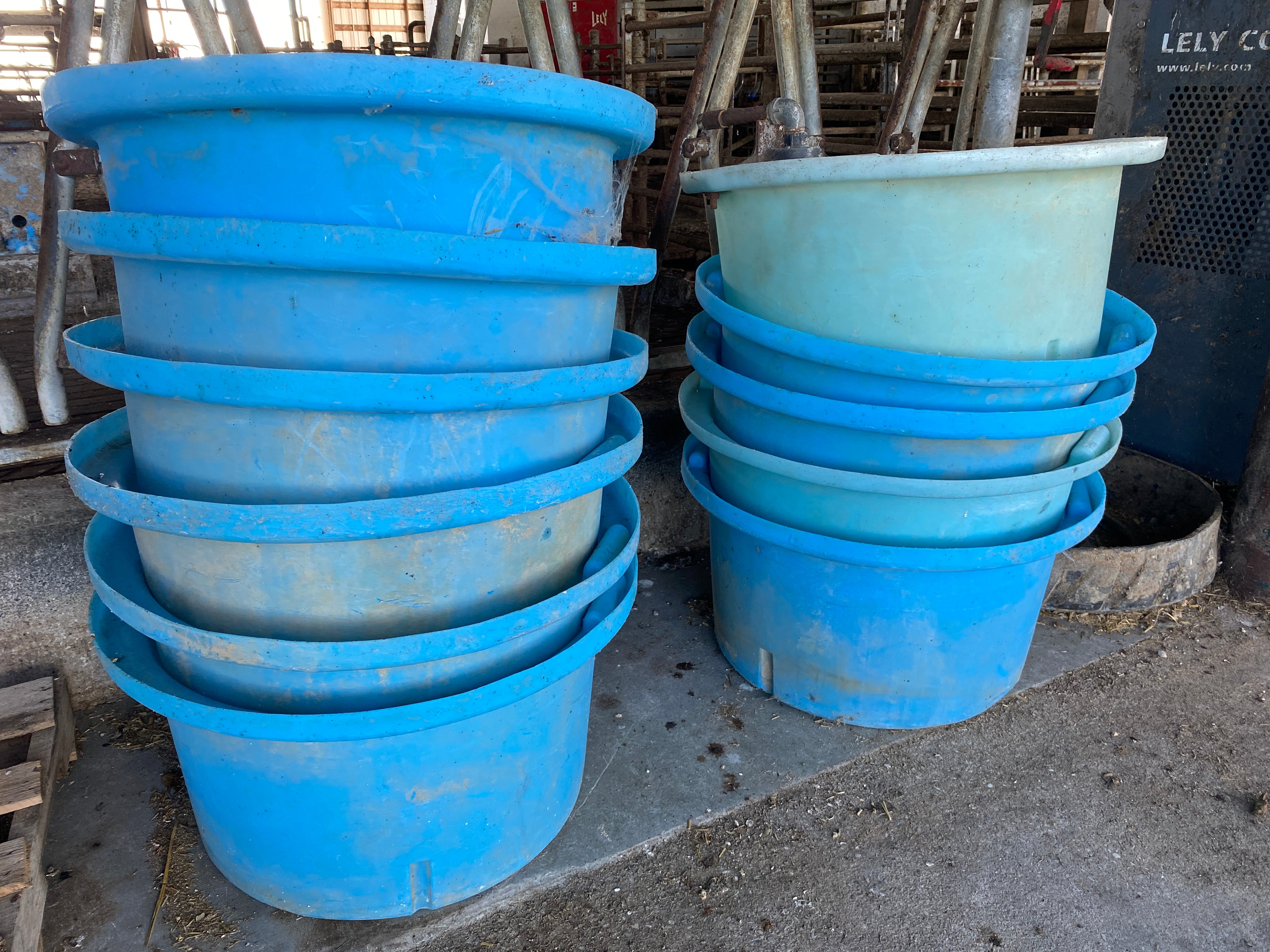 Lot of 11 Blue Pasture Waterers