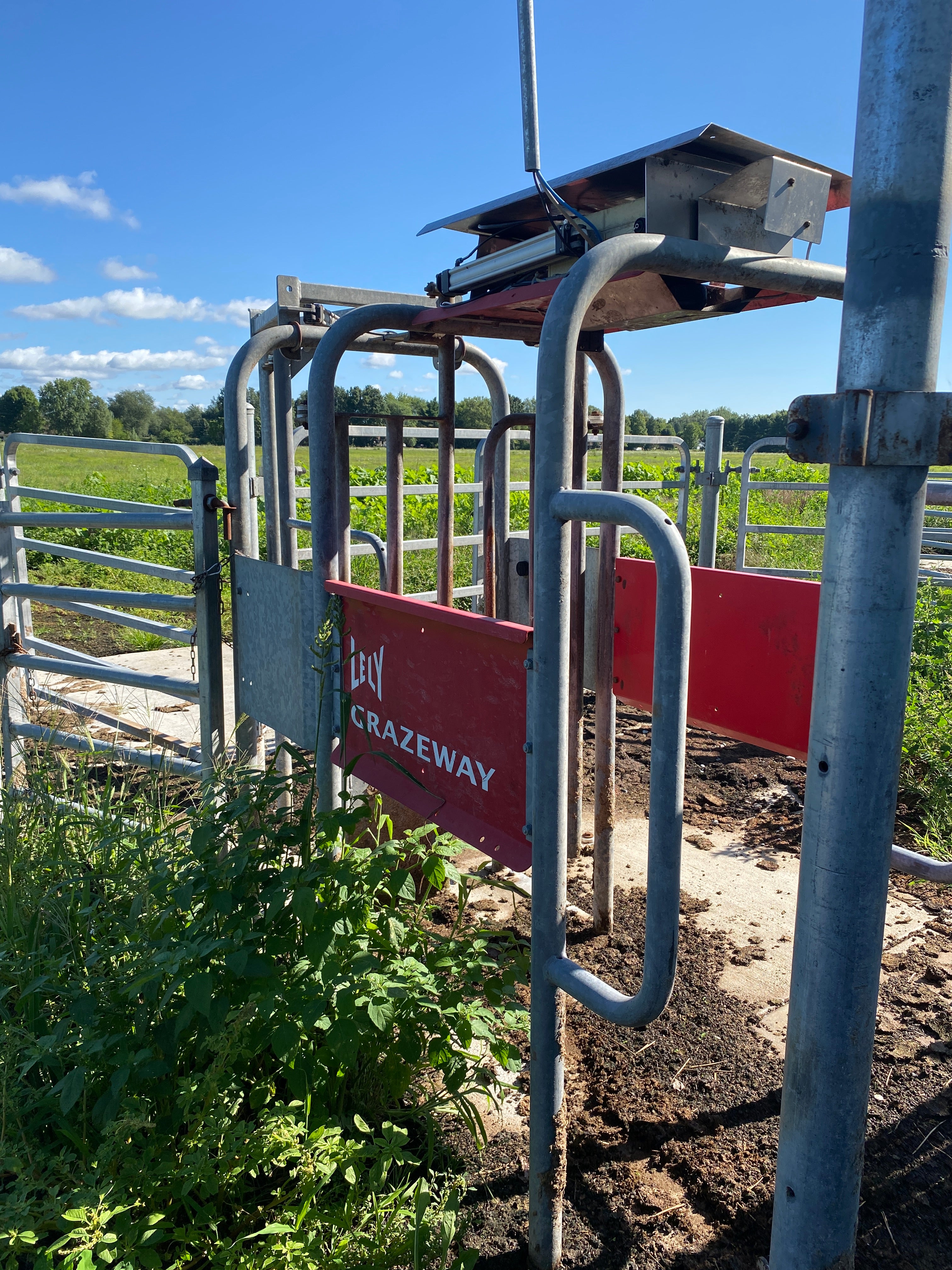 Lely Grazeway Two-Way Gate with SCR Reader #2