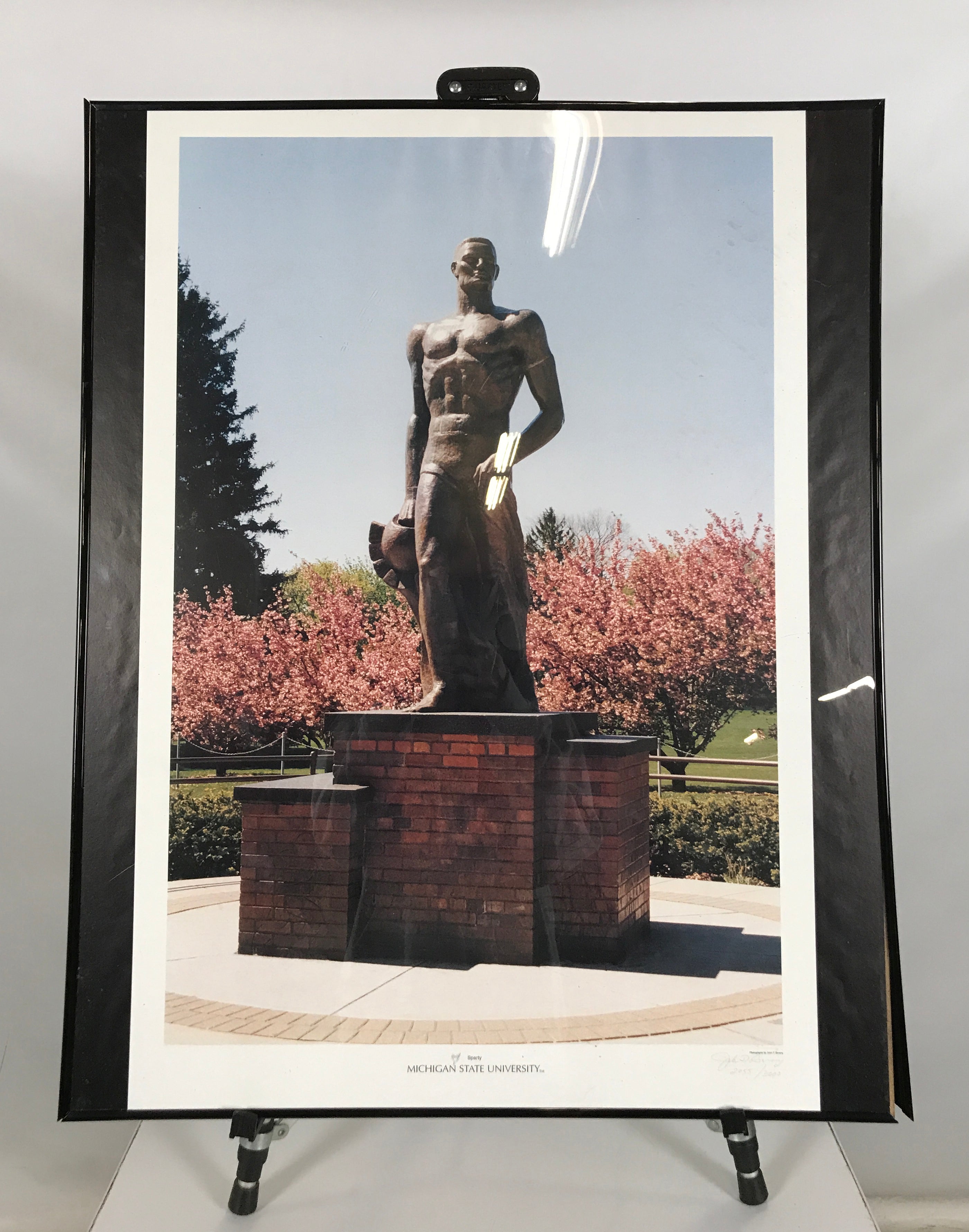 "Sparty Statue at Michigan State University" Framed Photograph