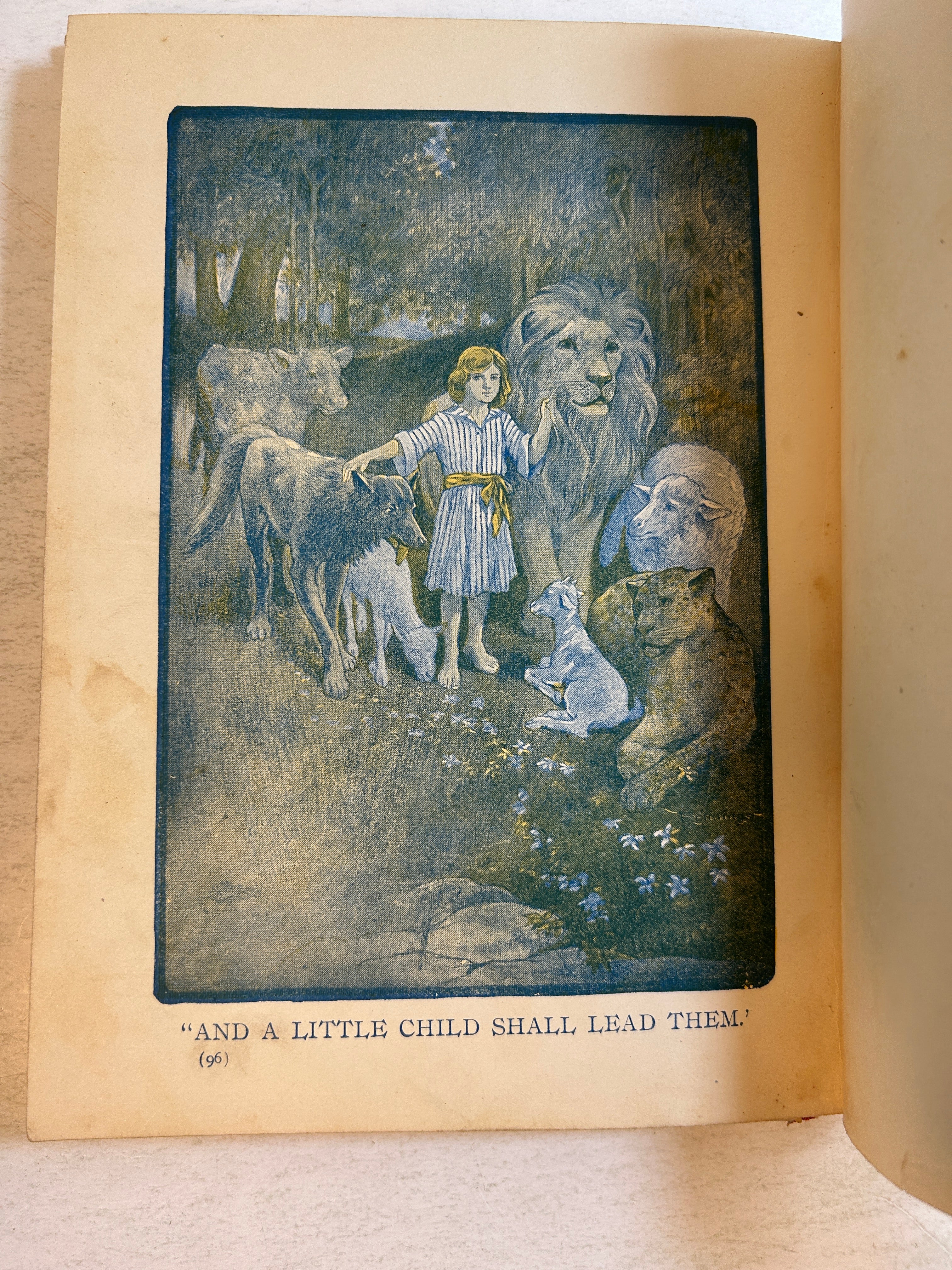 New Testament Primer by J.E. White Review & Herald Publishing HC 1906