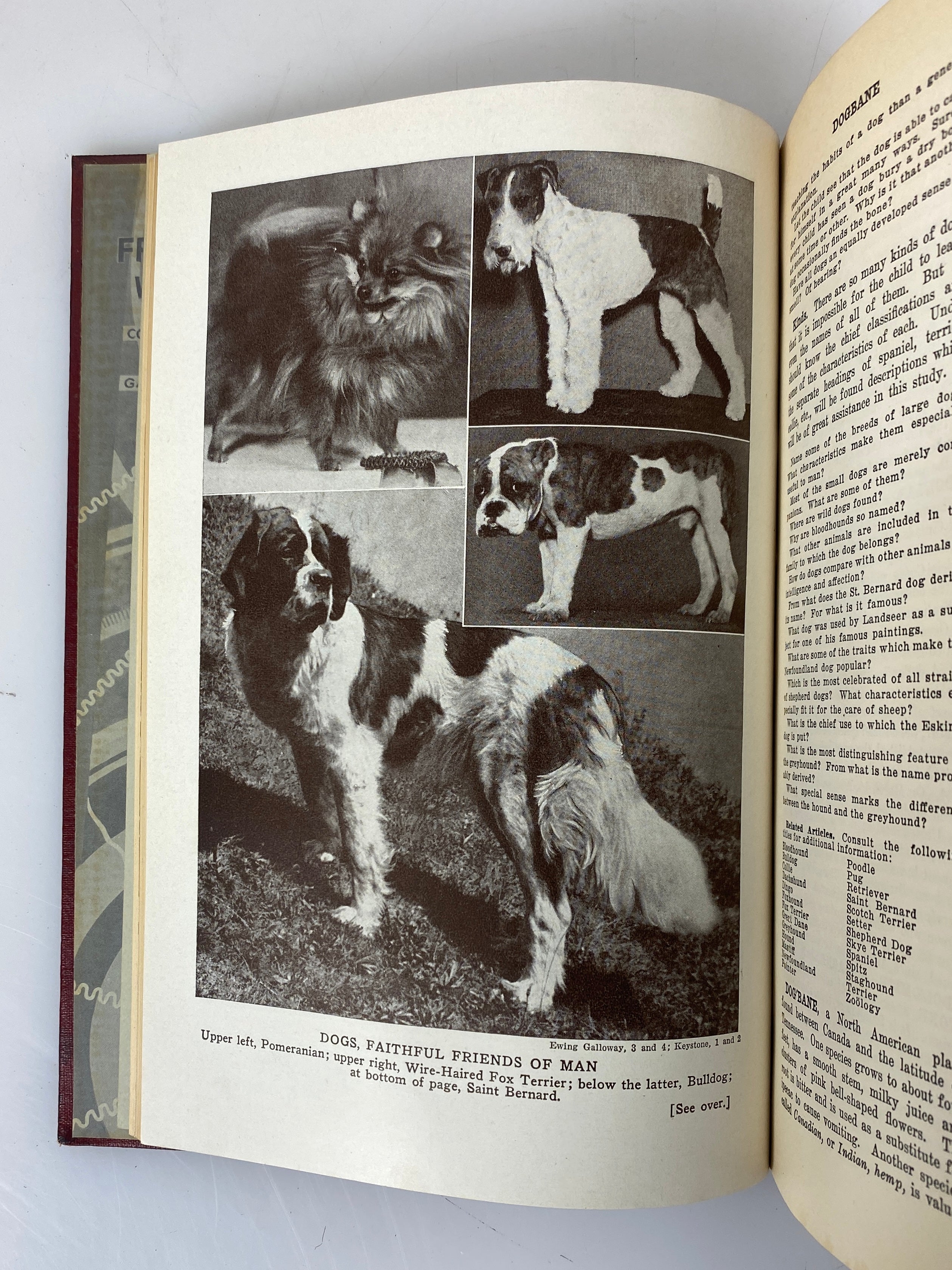 Lot of 20: The American Educator Encyclopedia 1940 HC