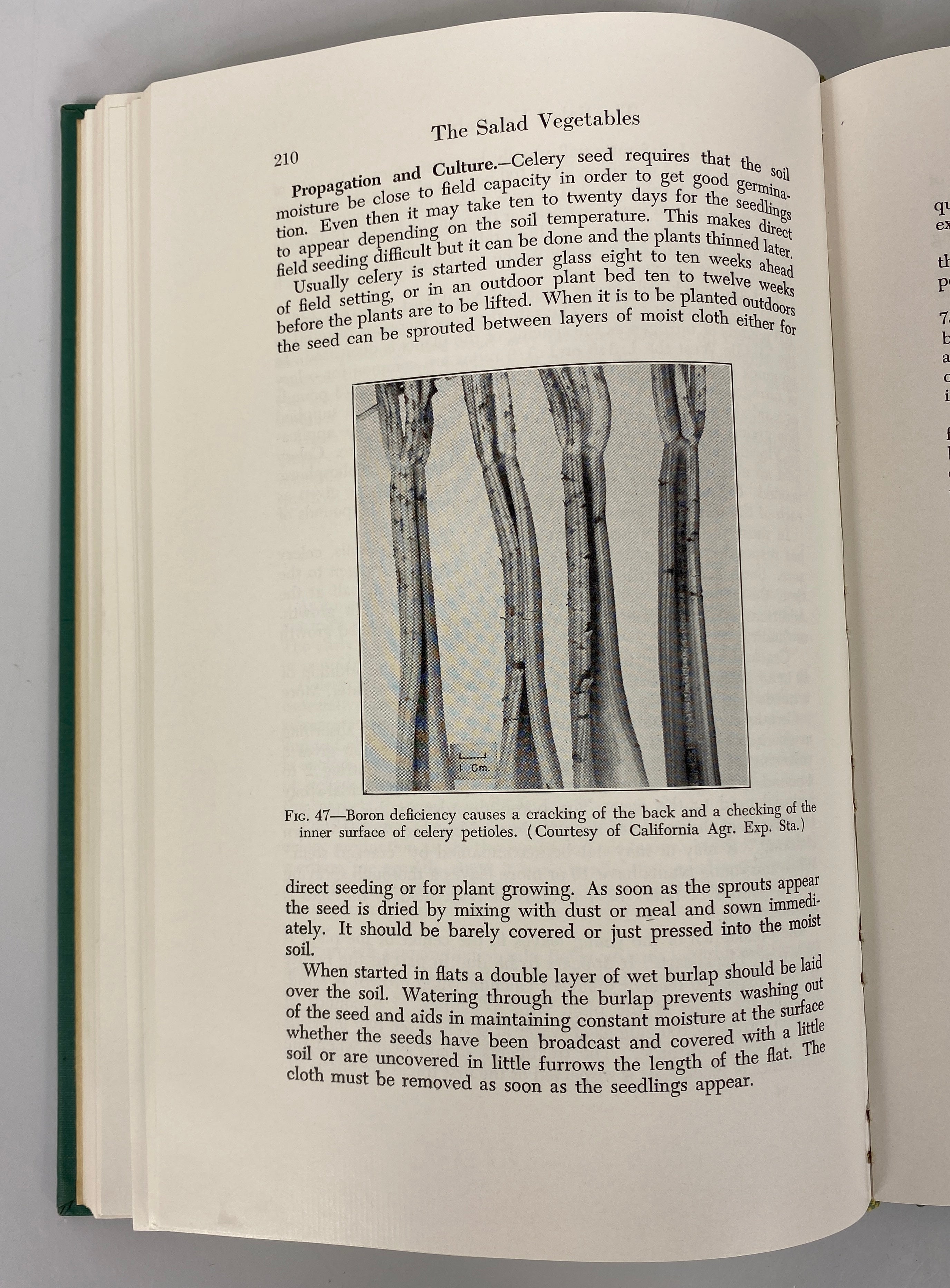 Lot of 2: Taylor's Encyclopedia of Gardening/Vegetable Growing 1948-1958 HC