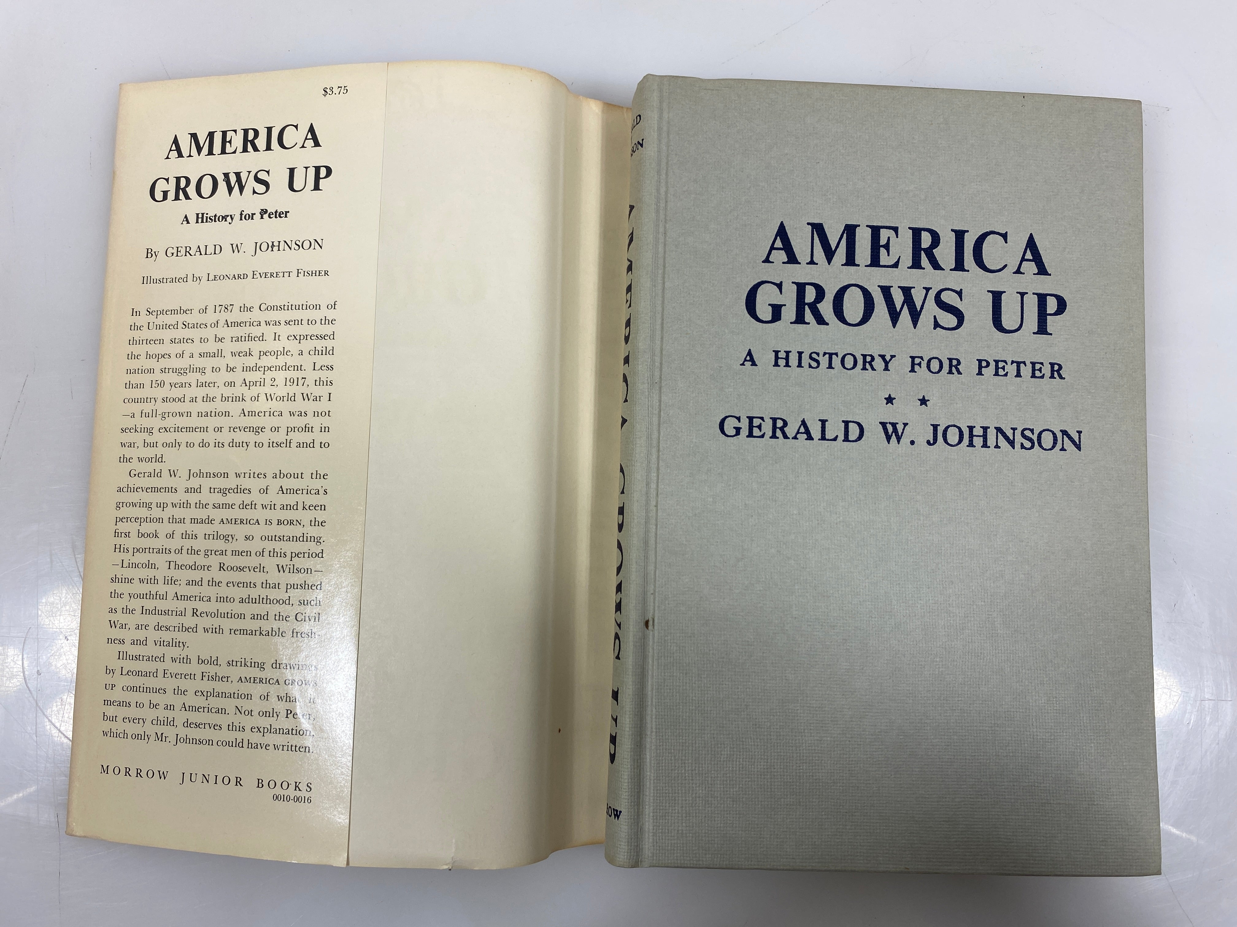 America Grows Up Gerald Johnson 1960 HCDJ
