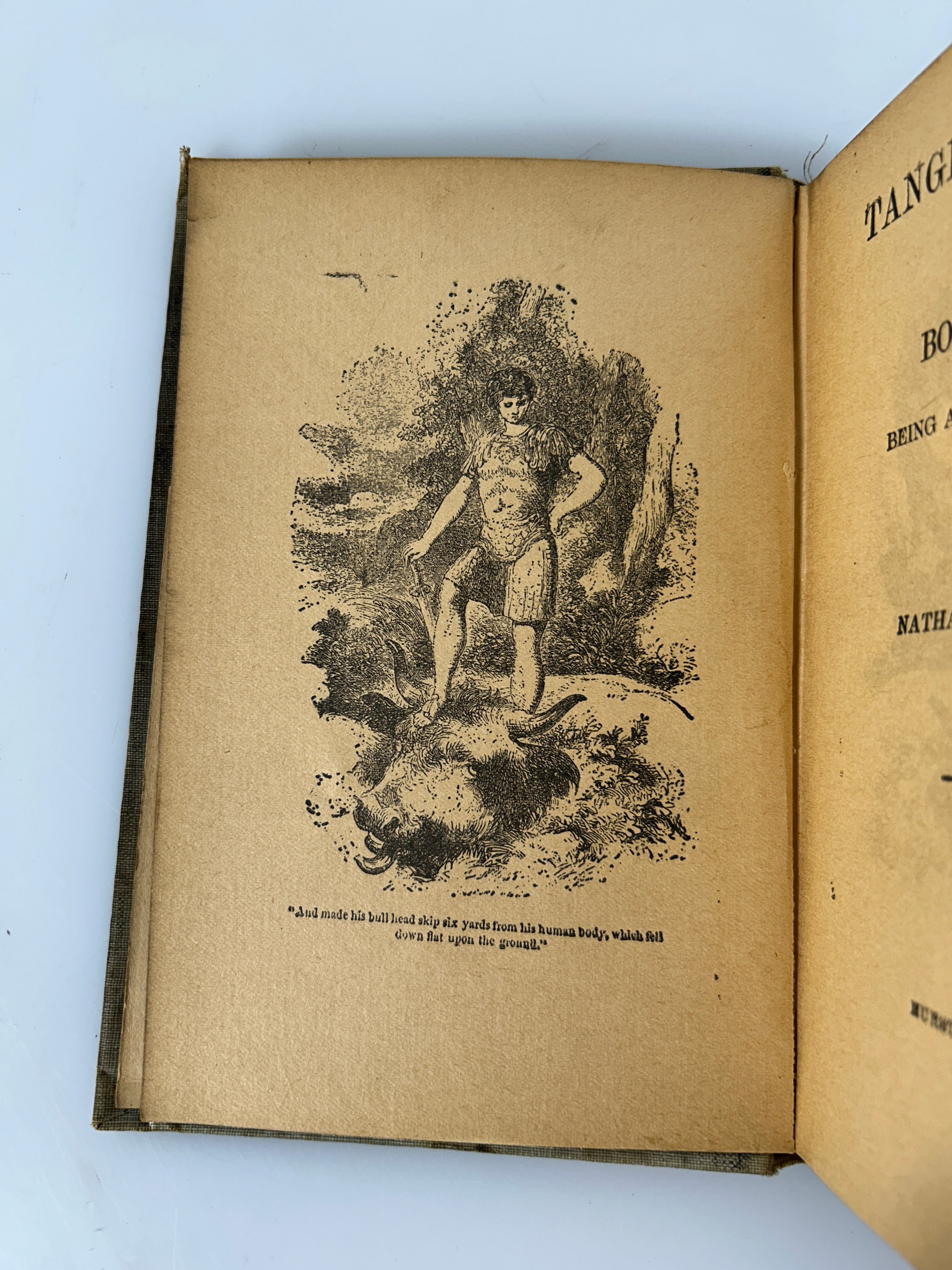 Tanglewood Tales by Nathaniel Hawthorne Arlington Ed Hurst & Co 1899 HC