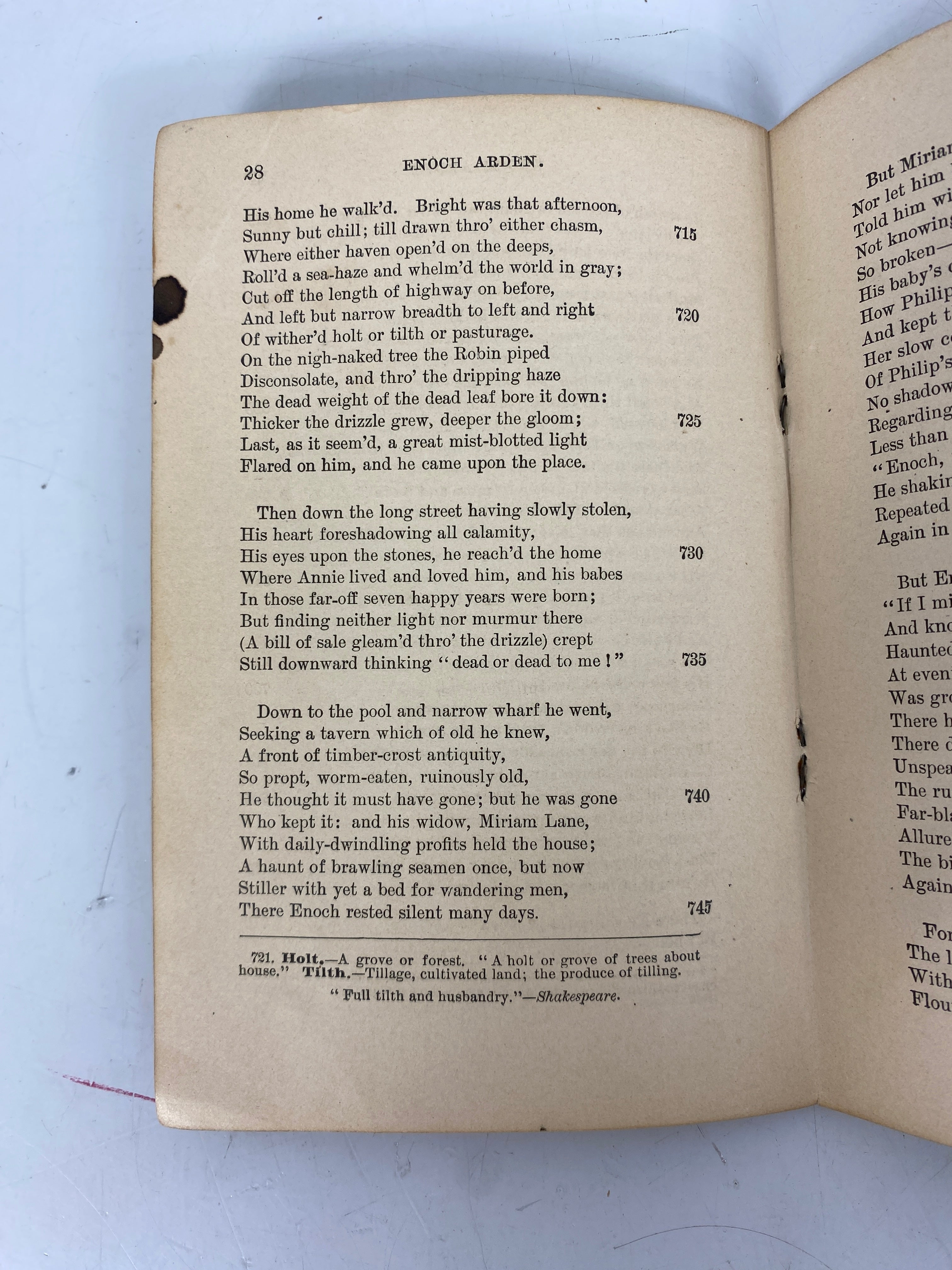 Enoch Arden & the Lotus Eaters Tennyson 1892 English Classic Series Antique SC