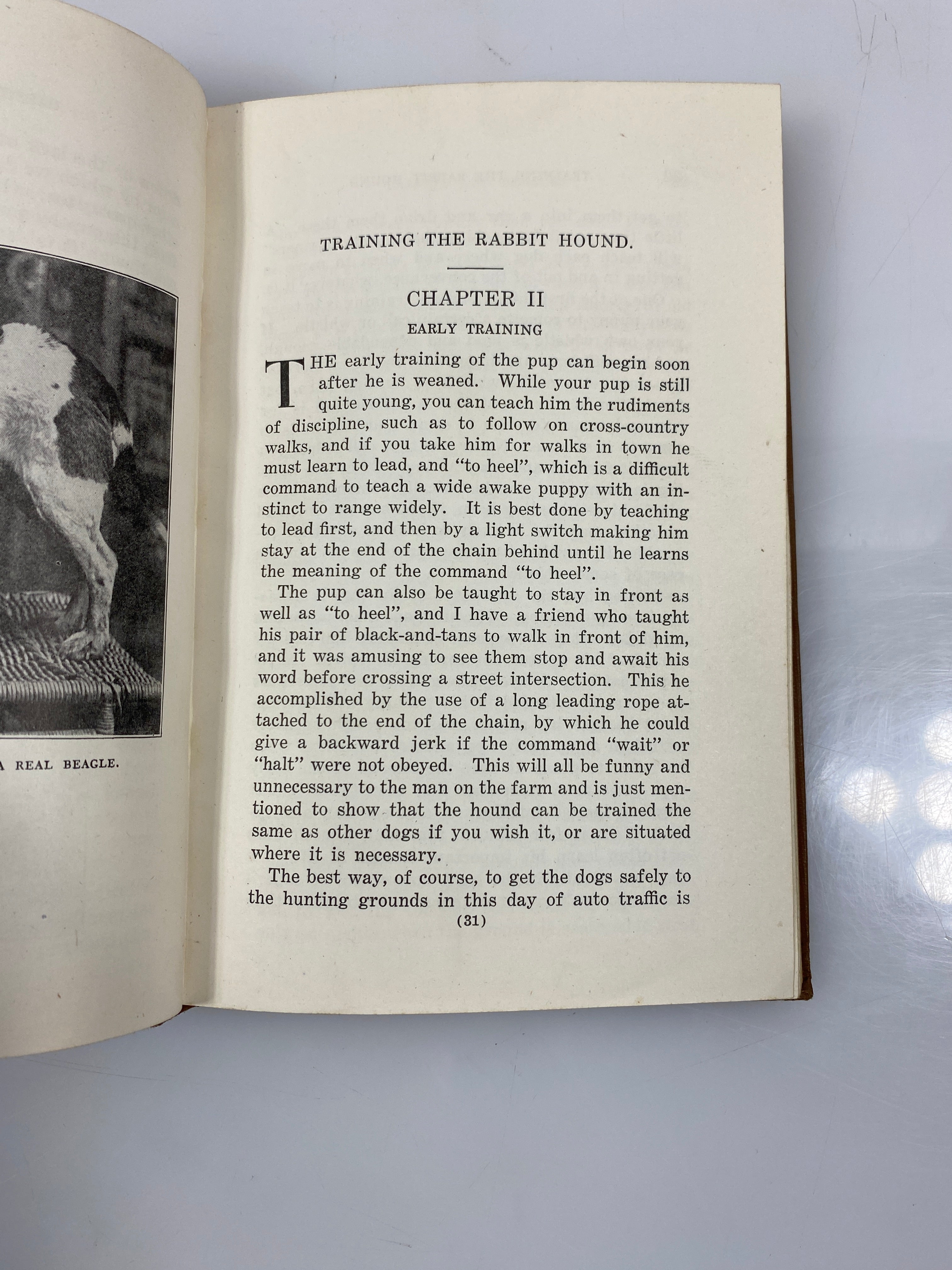 Training the Rabbit Hound by Smith 5th Ed. 1944 HC