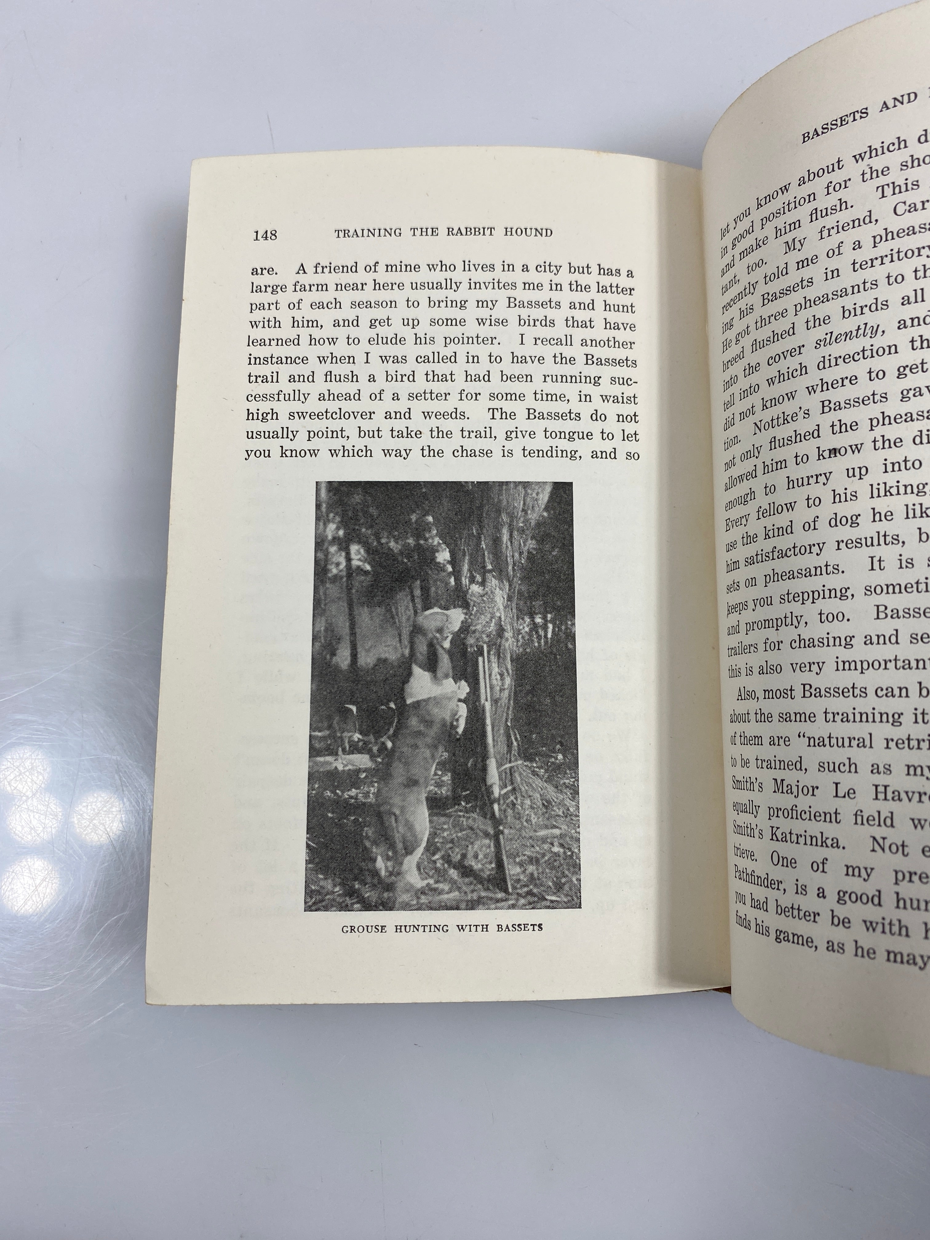 Training the Rabbit Hound by Smith 5th Ed. 1944 HC
