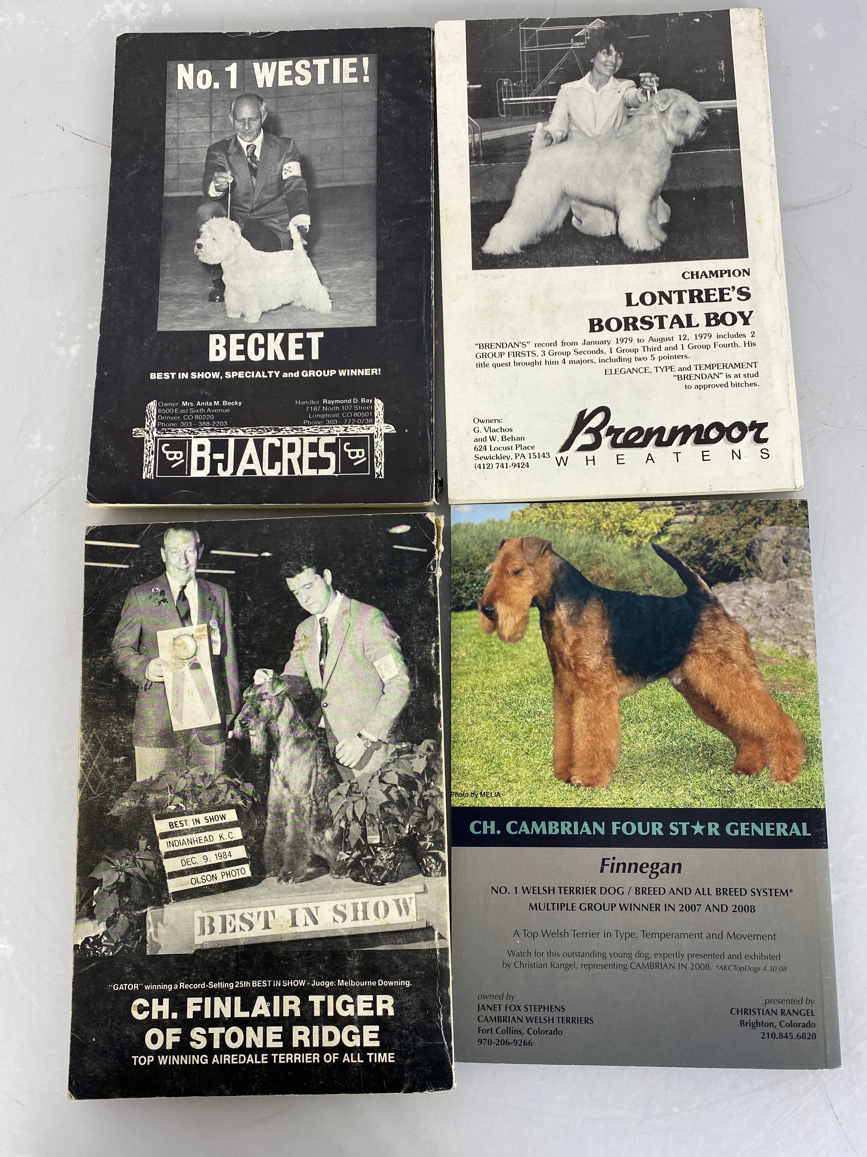 Lot of 4 Terrier Type Magazine August 1977, September 1979, January 1985, May/June 2008 SC