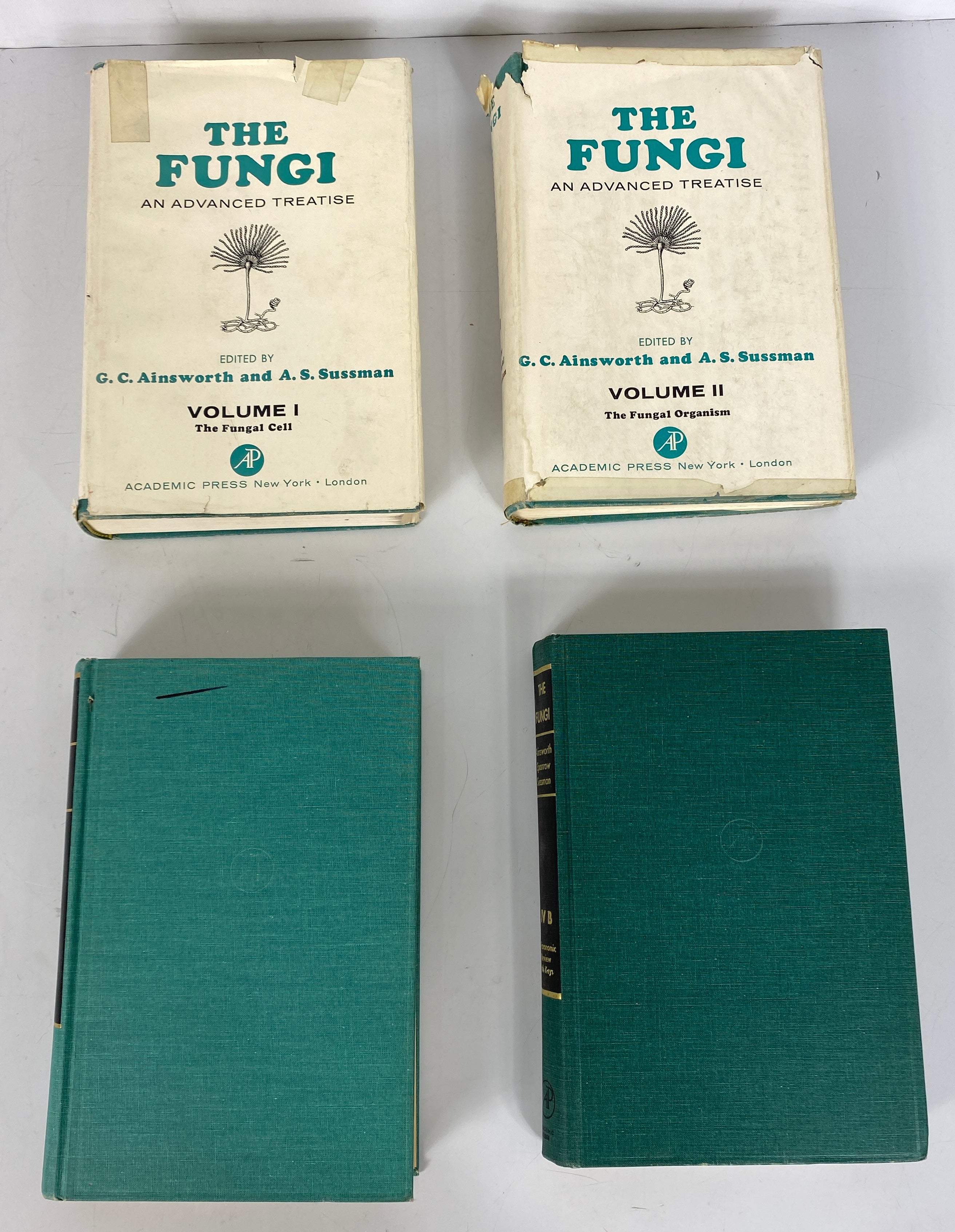 4 Volumes: The Fungi An Advanced Treatise Ainsworth/Sussman 1-3, 4b HC