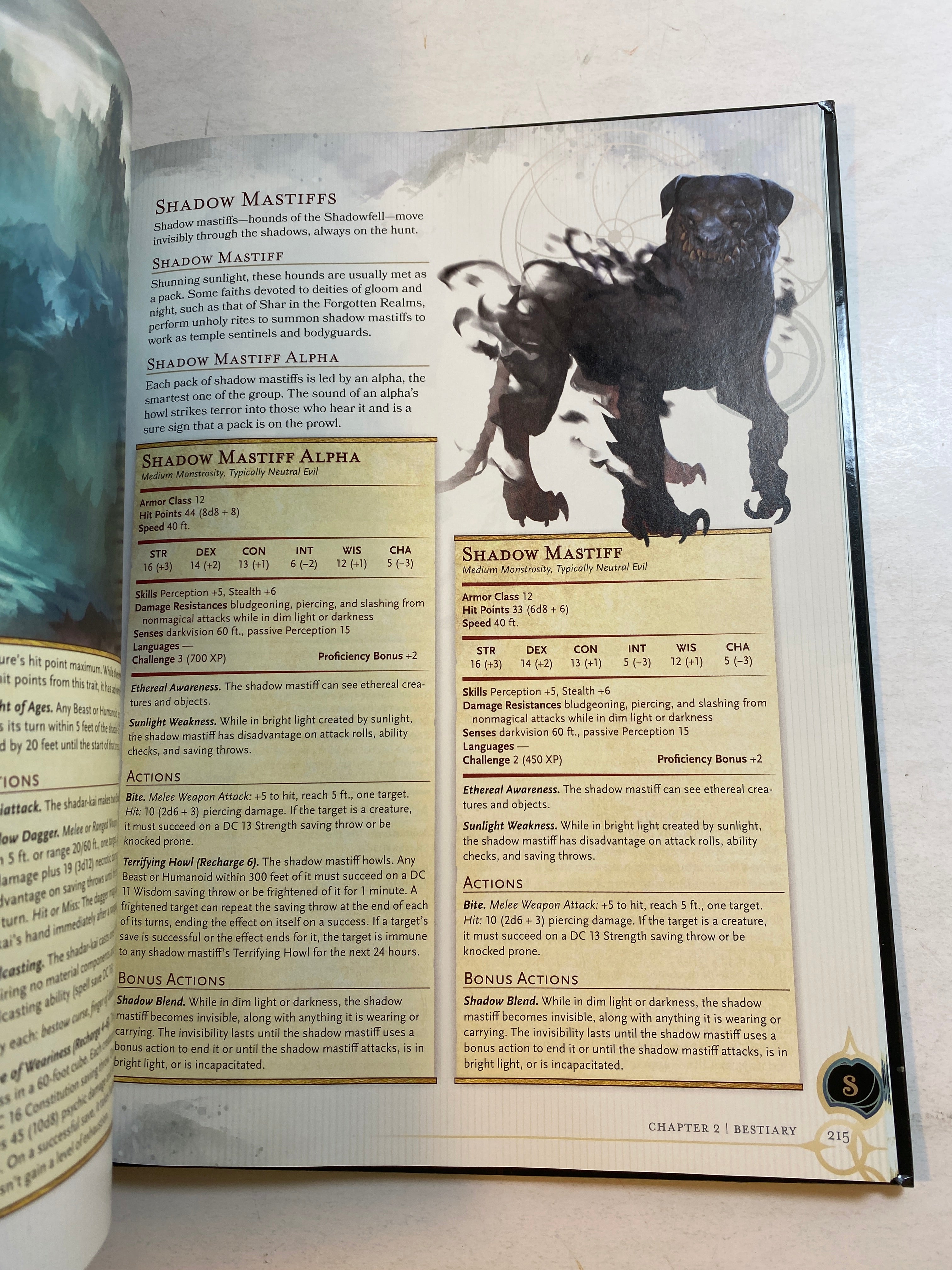 Dungeons and Dragons Monsters of the Multiverse HC 2021