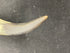 Antique Two-Tone Powder Horn