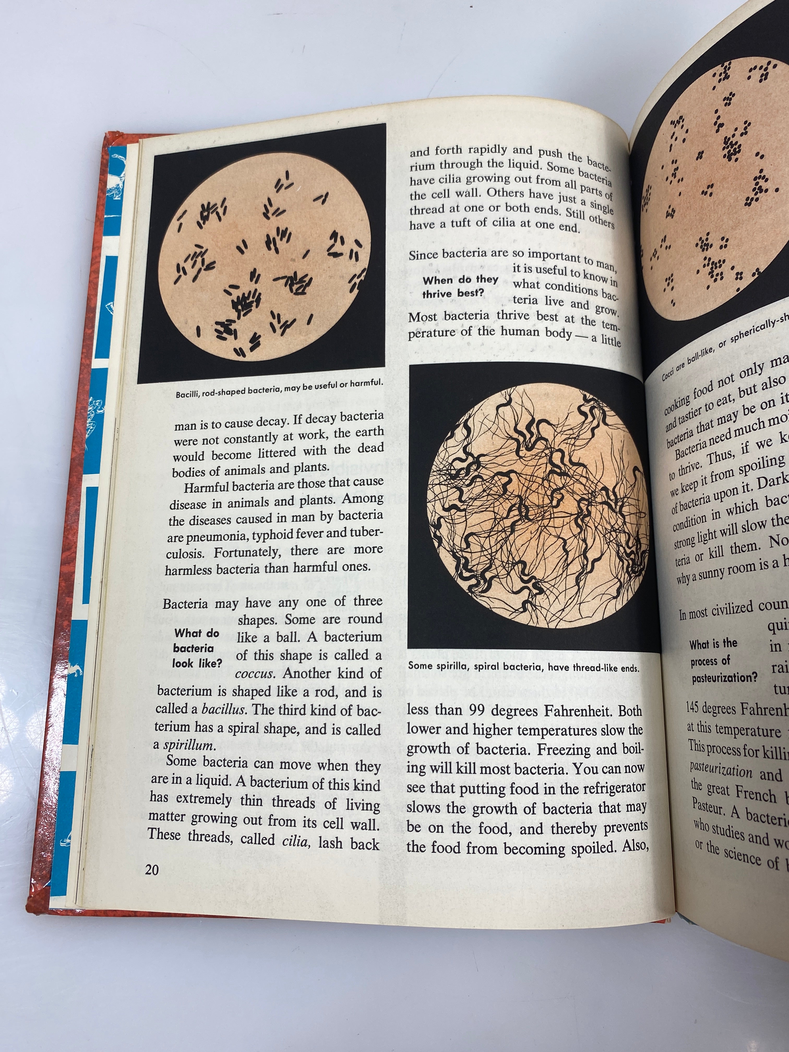 2 Vols The How & Why Wonder Books WWII, Microscope 1962-1969 HC