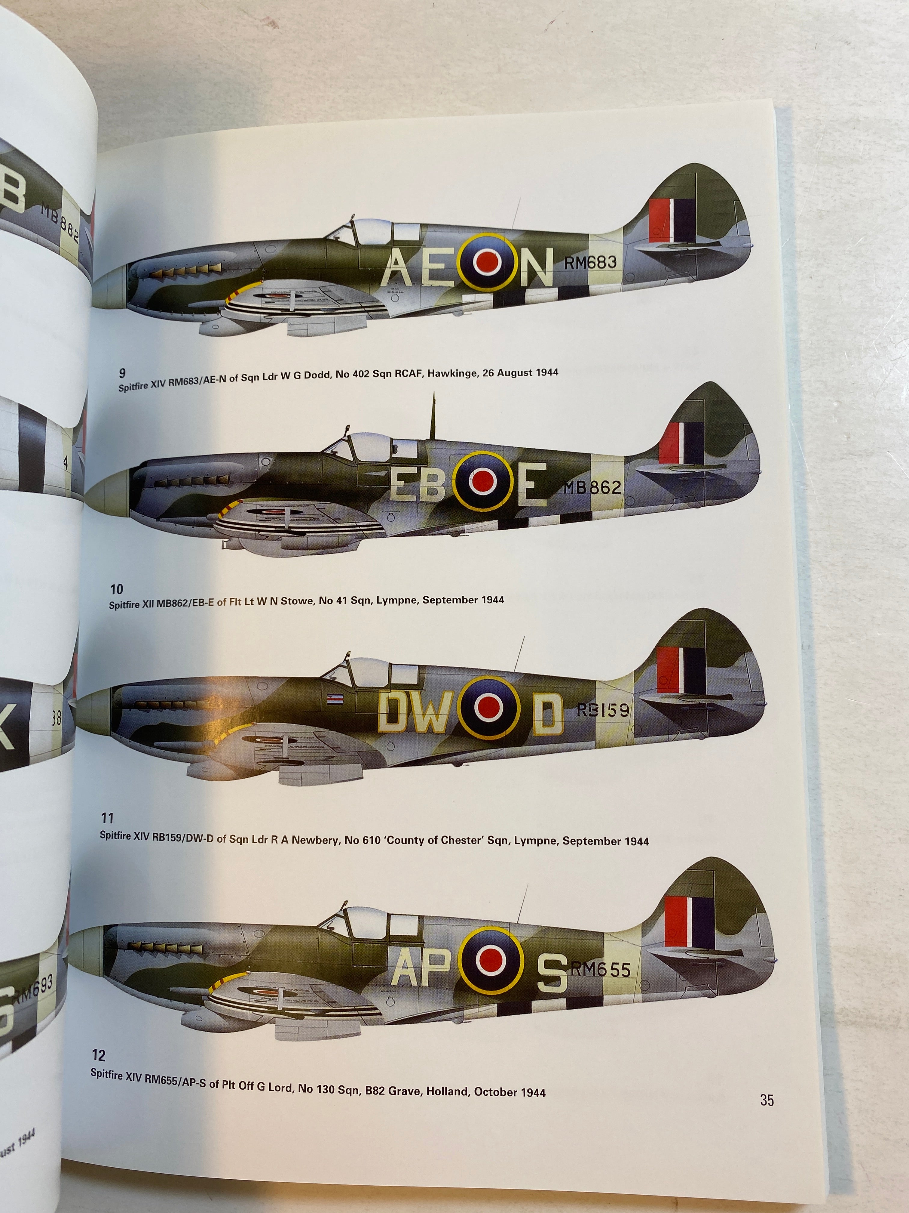 Griffon Spitfire Aces Osprey #81 2008