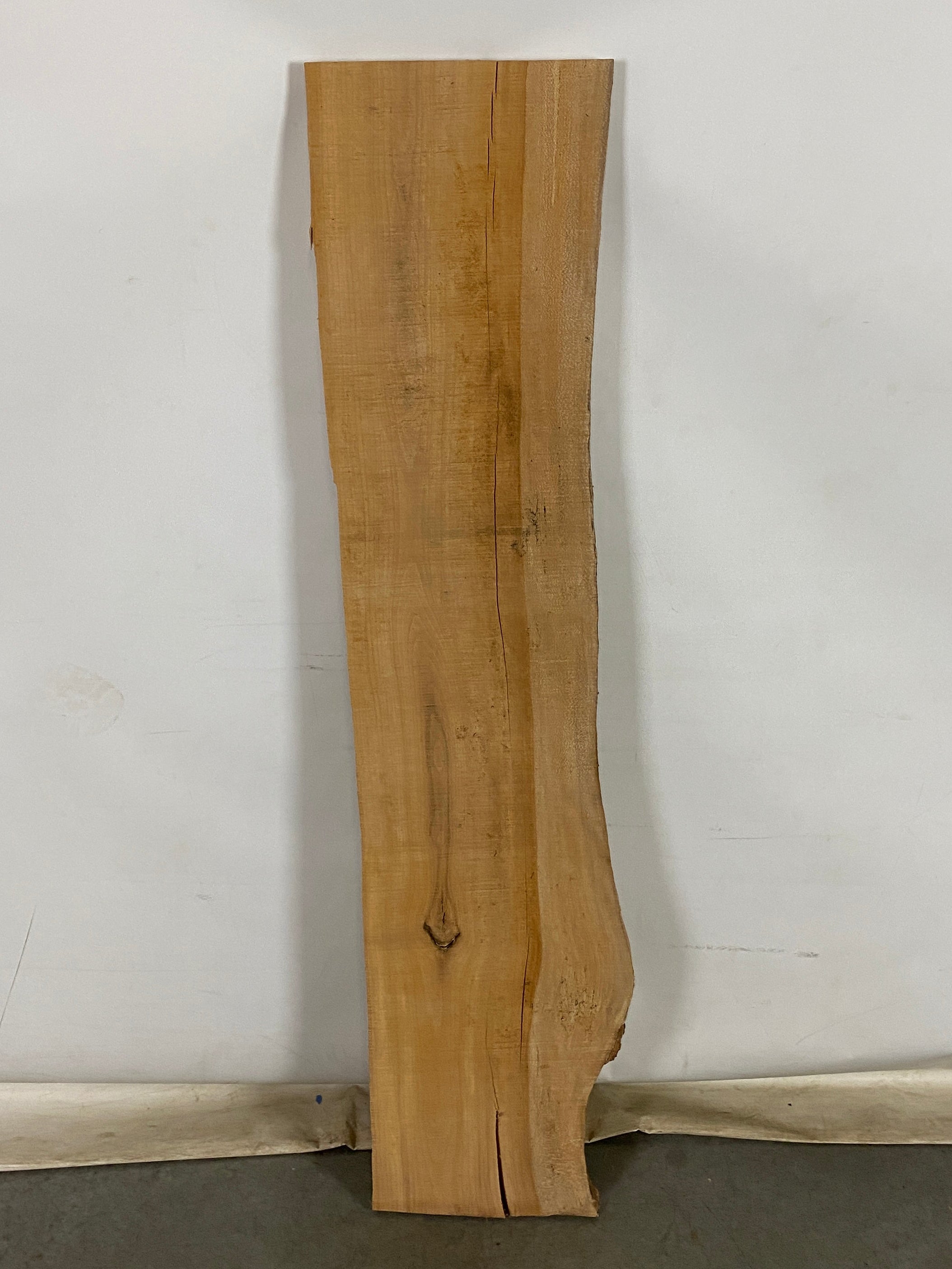 MSU Shadows Live Edge Sycamore Wood #1