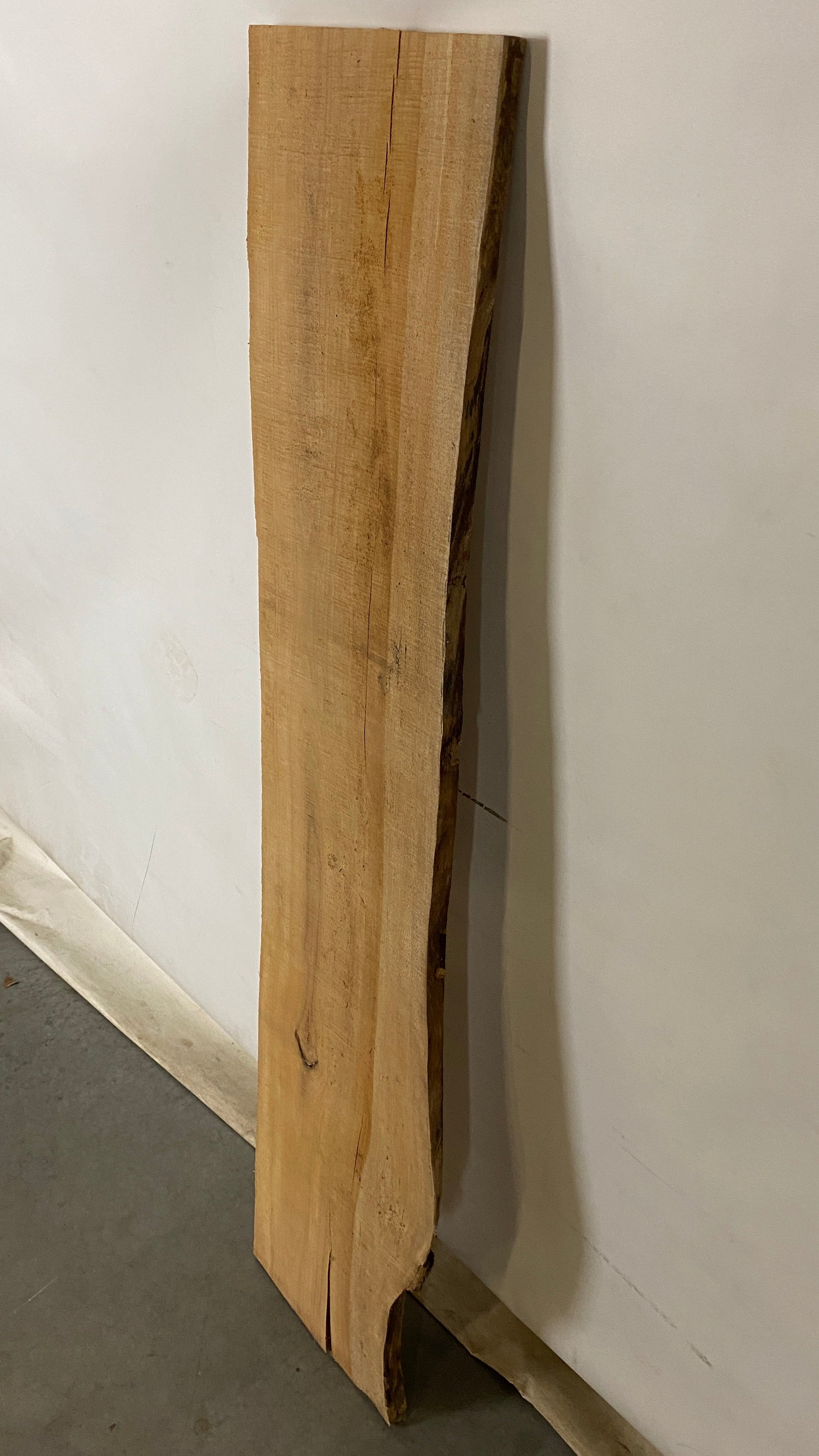 MSU Shadows Live Edge Sycamore Wood #1