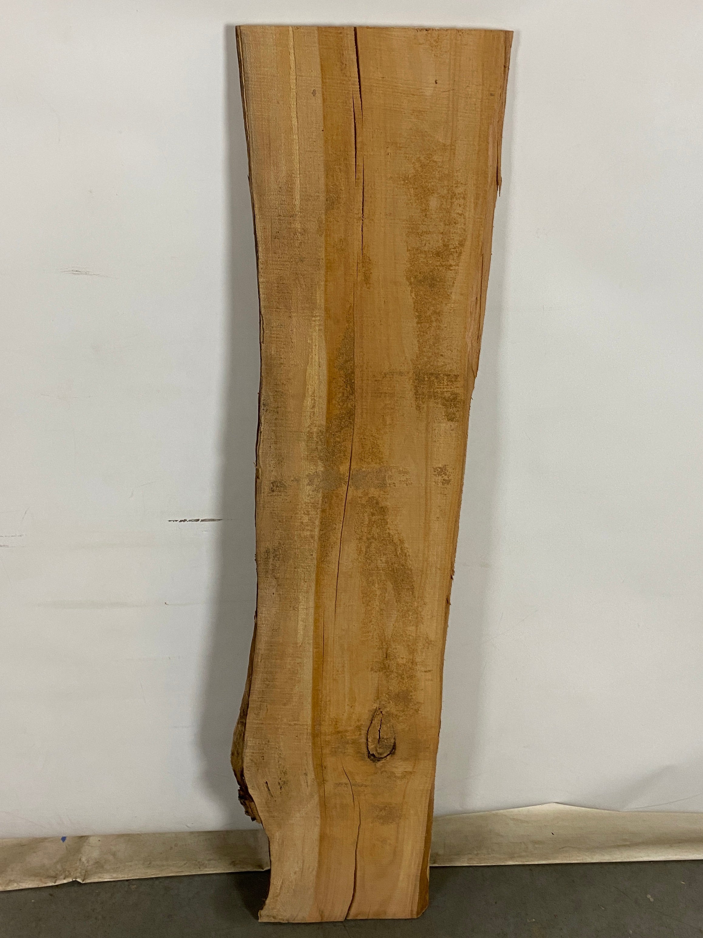 MSU Shadows Live Edge Sycamore Wood #1