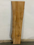 MSU Shadows Live Edge Sycamore Wood #1