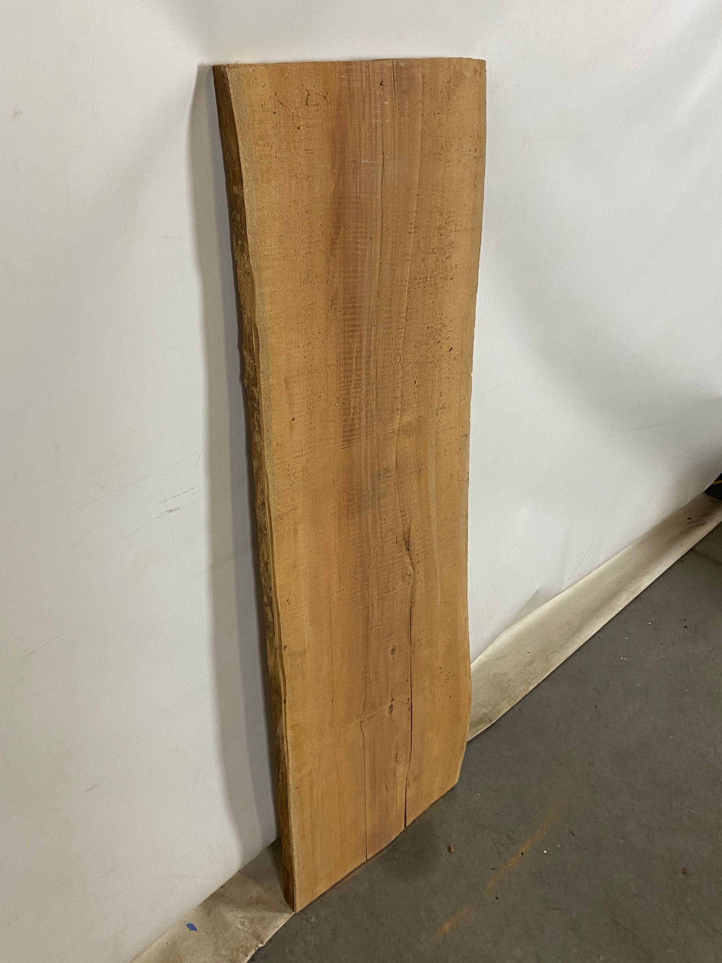 MSU Shadows Live Edge Sycamore Wood #2