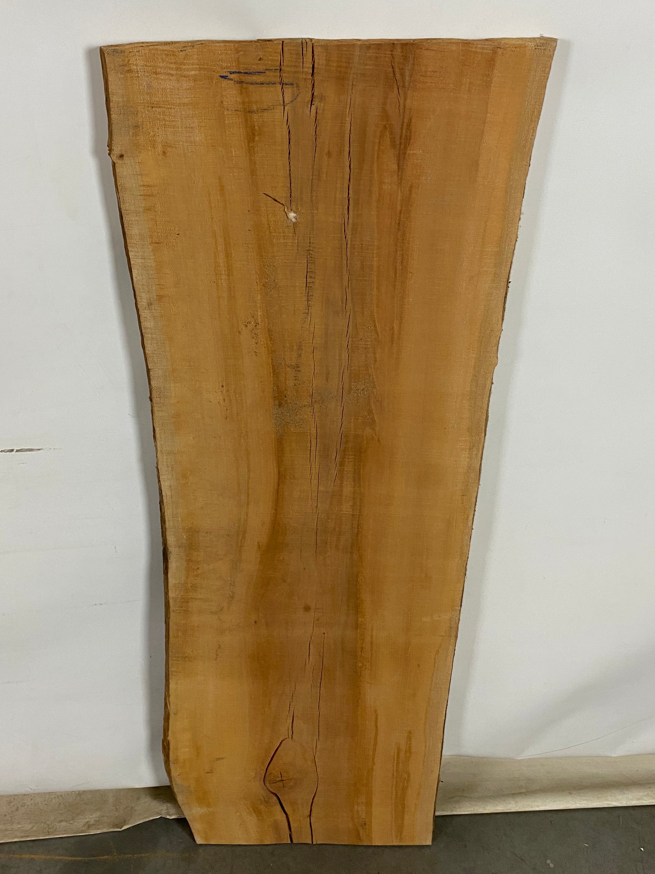 MSU Shadows Live Edge Sycamore Wood #2