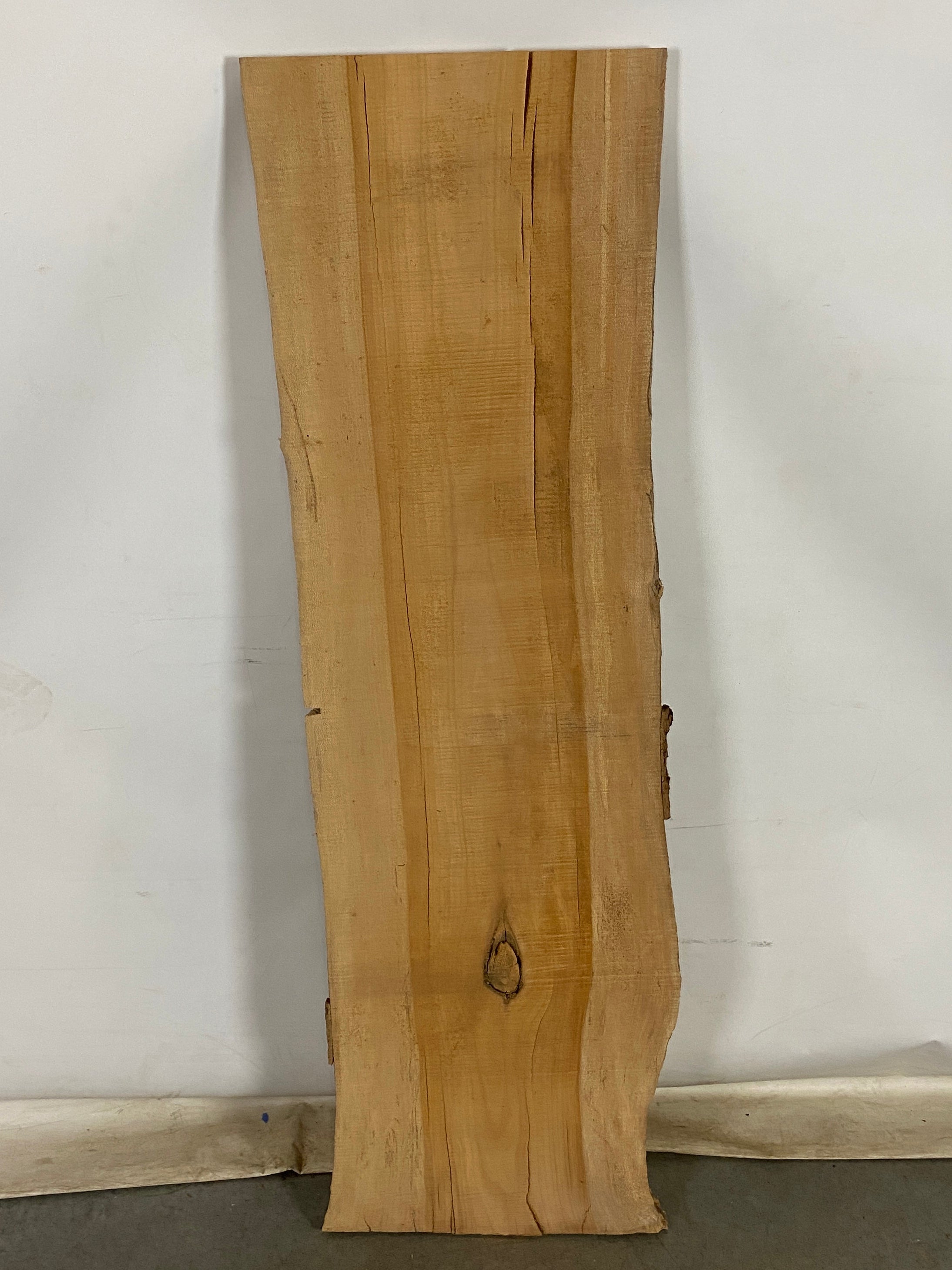 MSU Shadows Live Edge Sycamore Wood #3