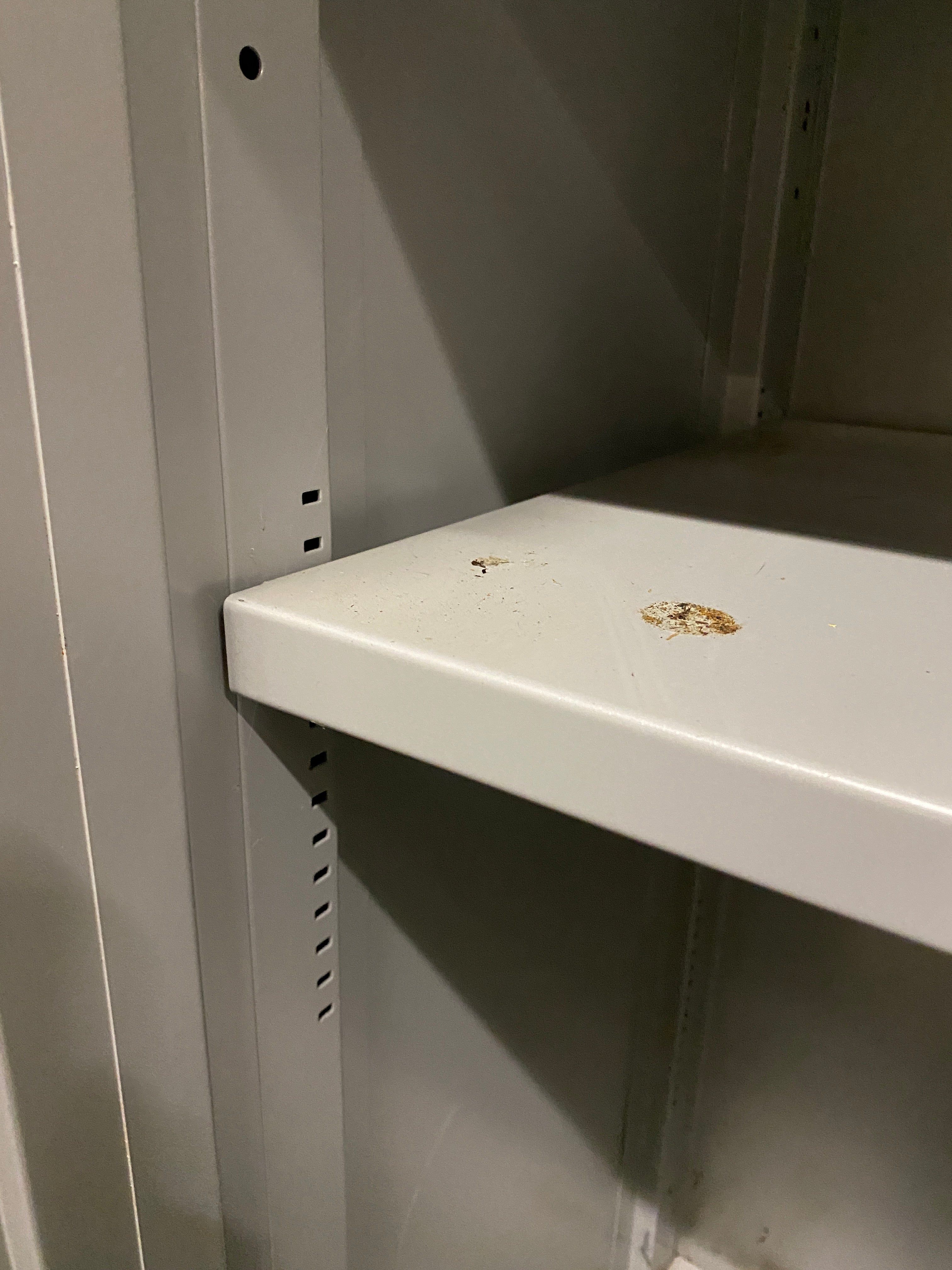 Grey 2 Door 2 Shelf Metal Cabinet