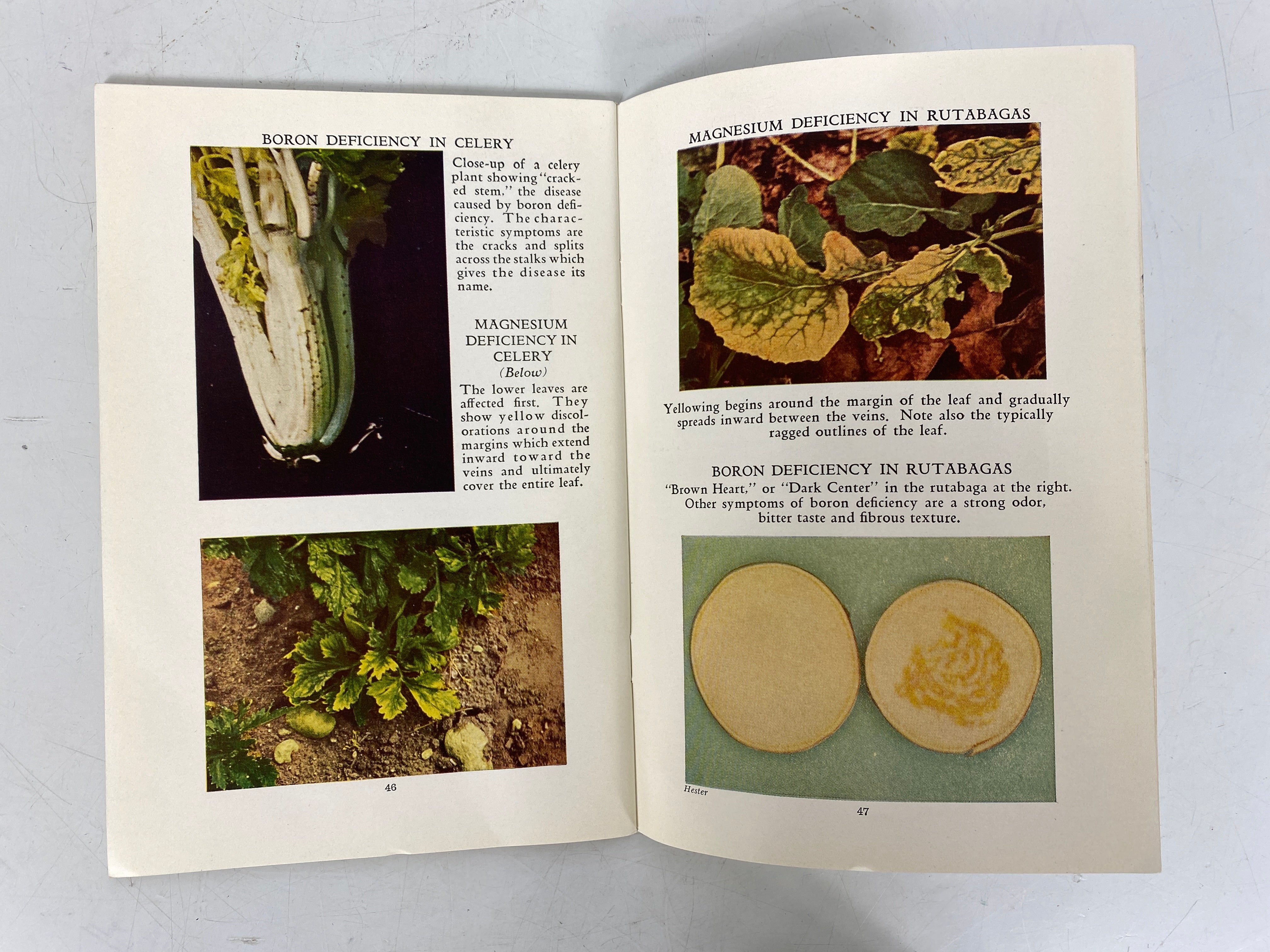 Lot of 3 Mineral Nutrition & Deficiencies in Plants 1941-51 w Color Plates