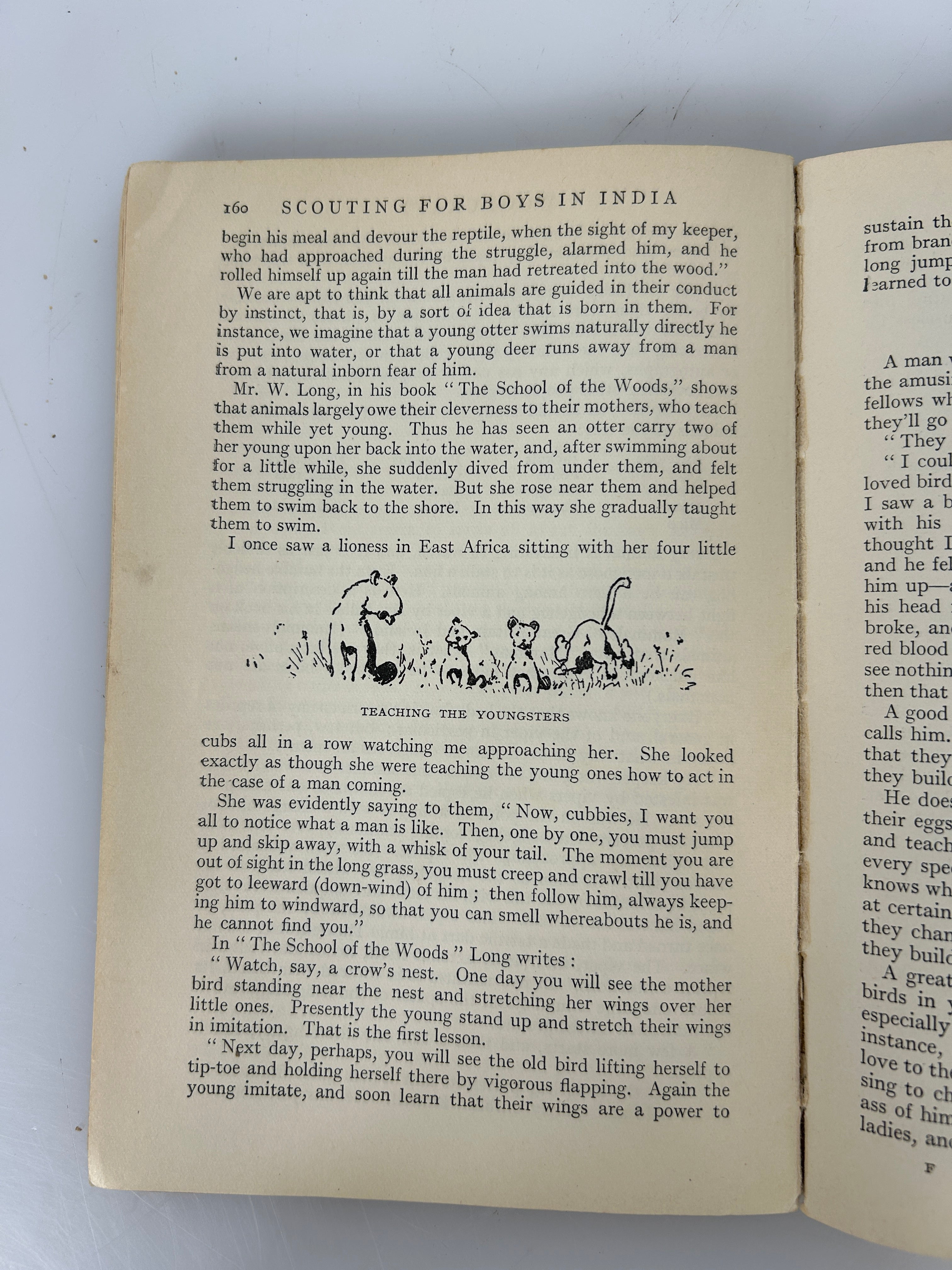 Scouting for Boys in India Lord Baden-Powell of Gilwell 1931 SC