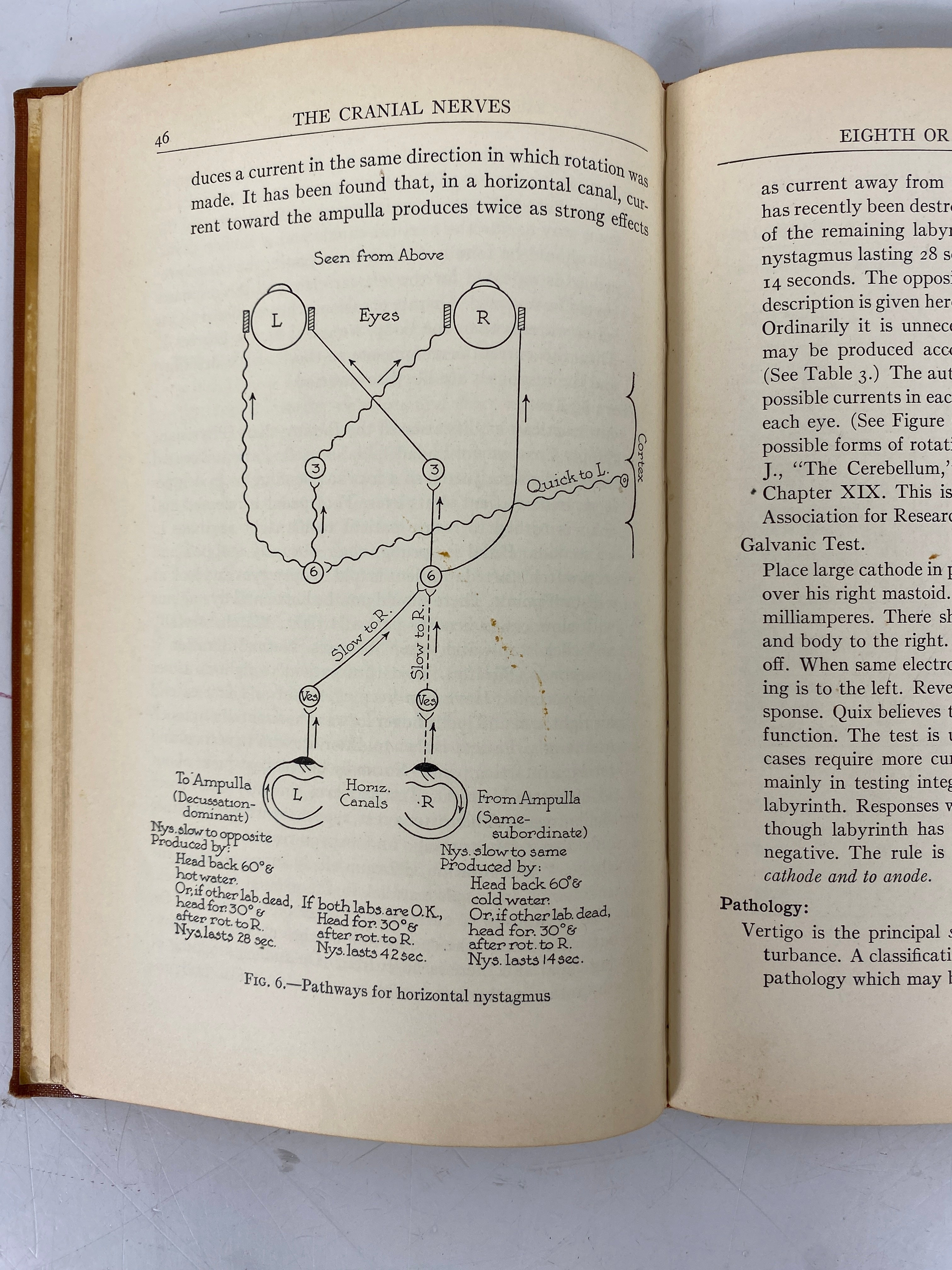 Outline of the Cranial Nerves John Favill 1933 1st Ed Vintage HC